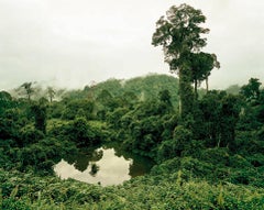 Primary Forest 02, Lake, Malaysia, 10/2012 - Olaf Otto Becker 