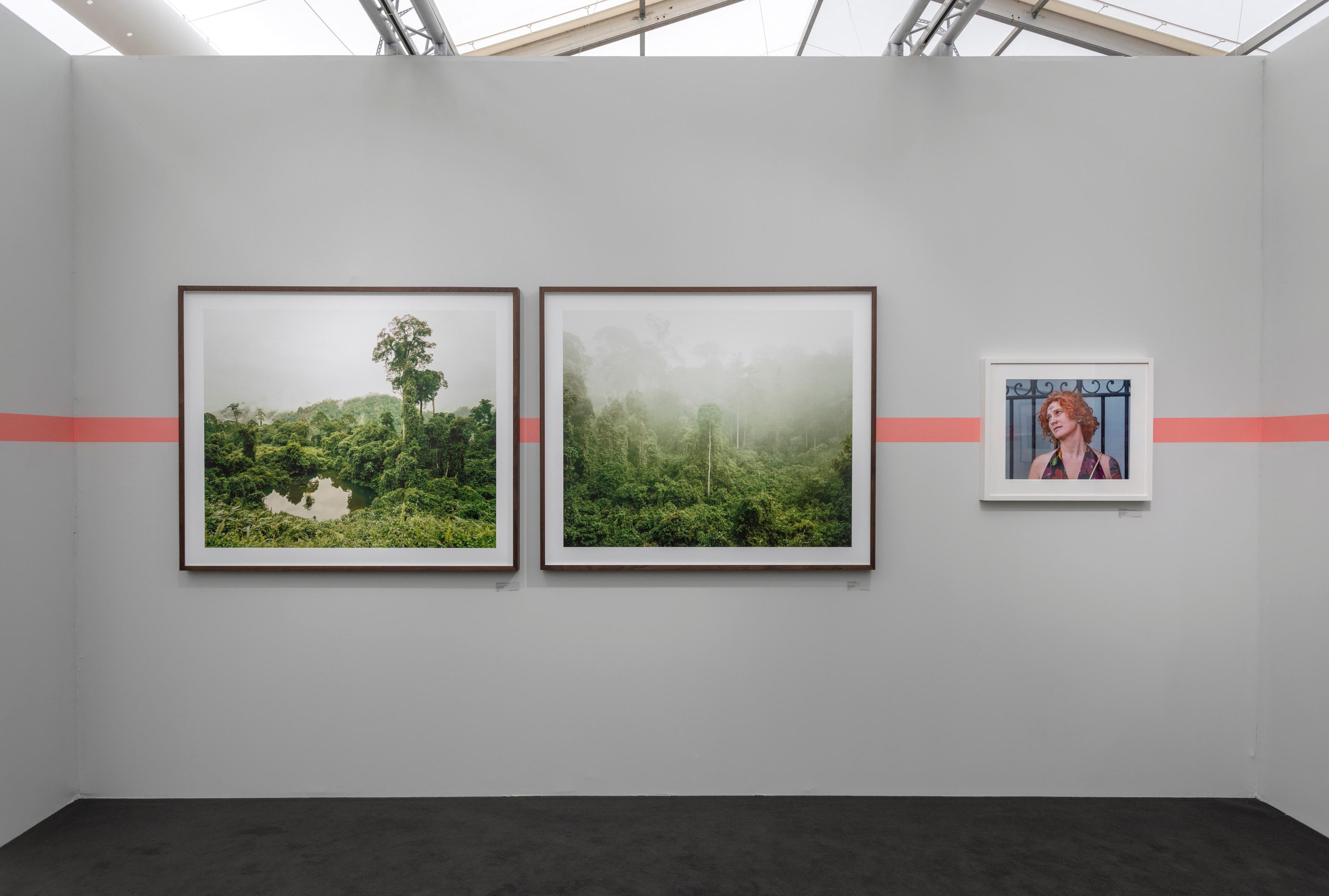 Primary Forest 03, Malaysia, 10/2012 - Olaf Otto Becker (Landschaftsfotografie) im Angebot 1