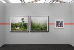 Primary Forest 03, Malaysia, 10/2012 - Olaf Otto Becker (Landscape Photography)
