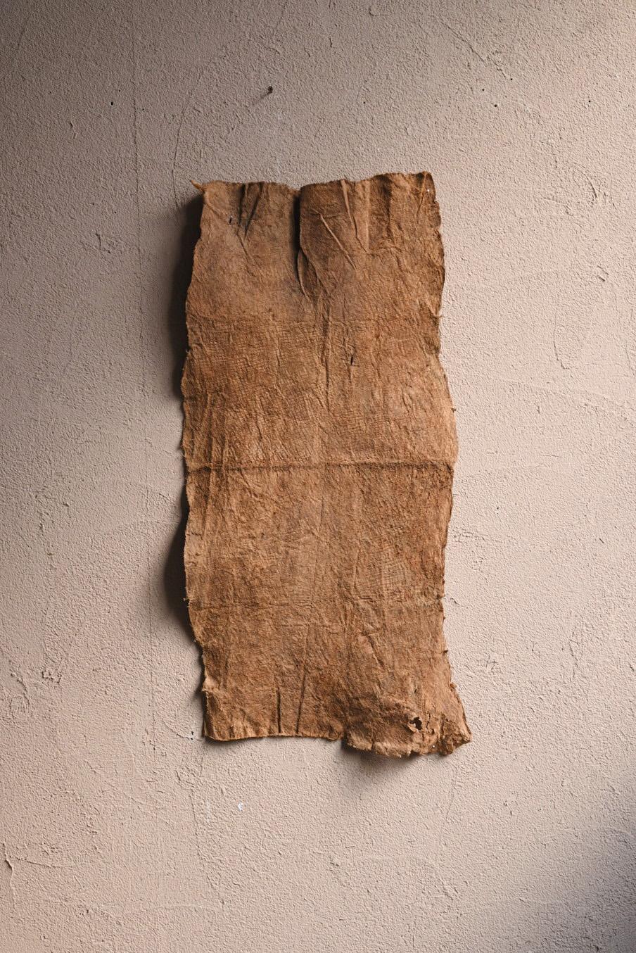 Tissu d'écorce africain ancien/20e siècle/ Textile d'écorce pygmy malaisien en vente 6