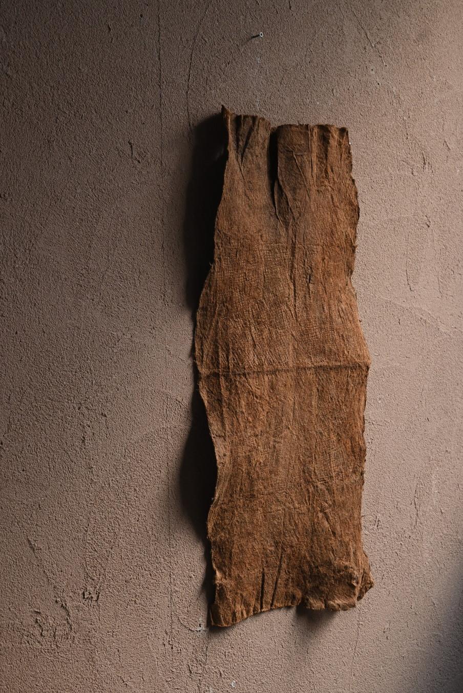 Tissu d'écorce africain ancien/20e siècle/ Textile d'écorce pygmy malaisien en vente 9