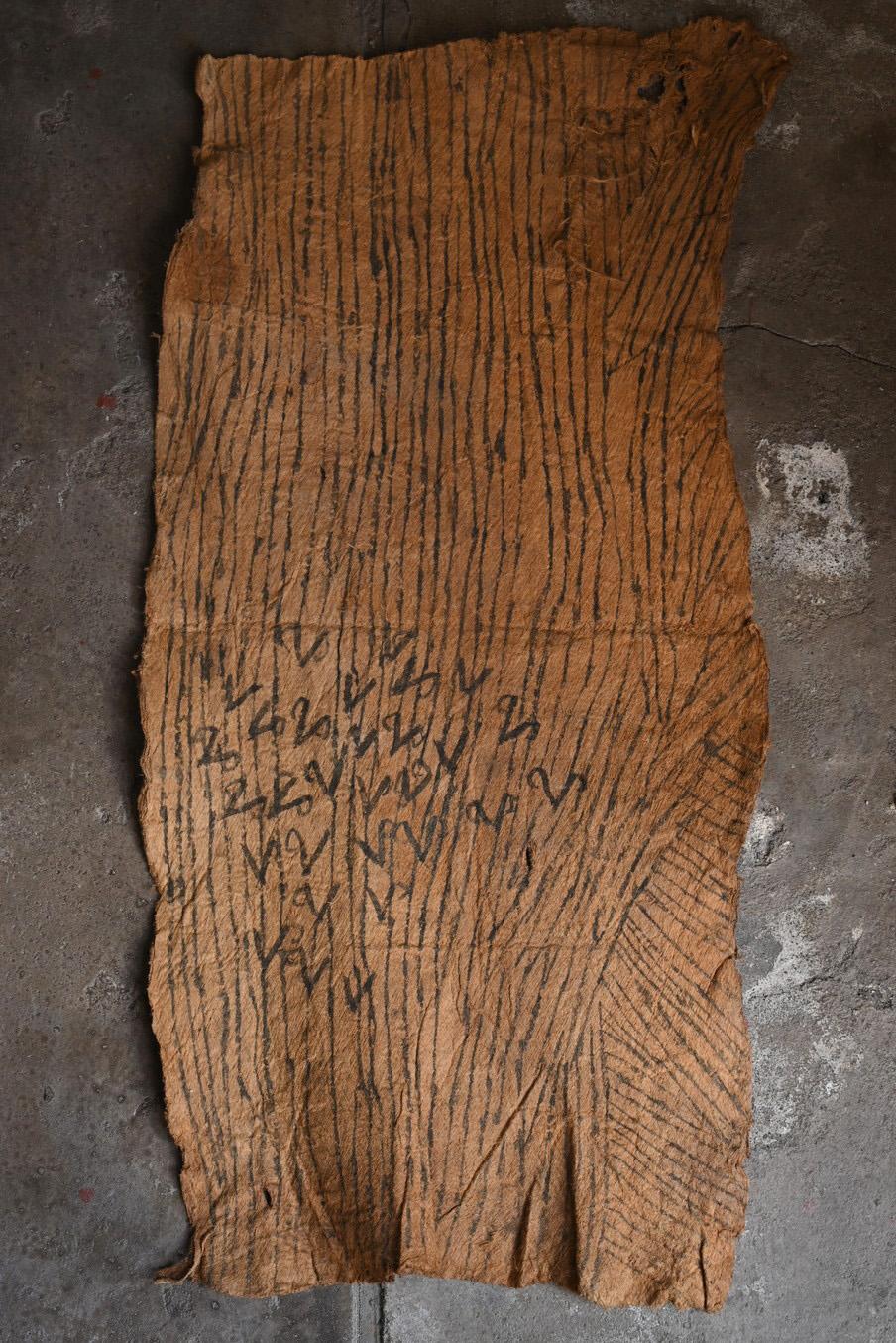 Congolais Tissu d'écorce africain ancien/20e siècle/ Textile d'écorce pygmy malaisien en vente