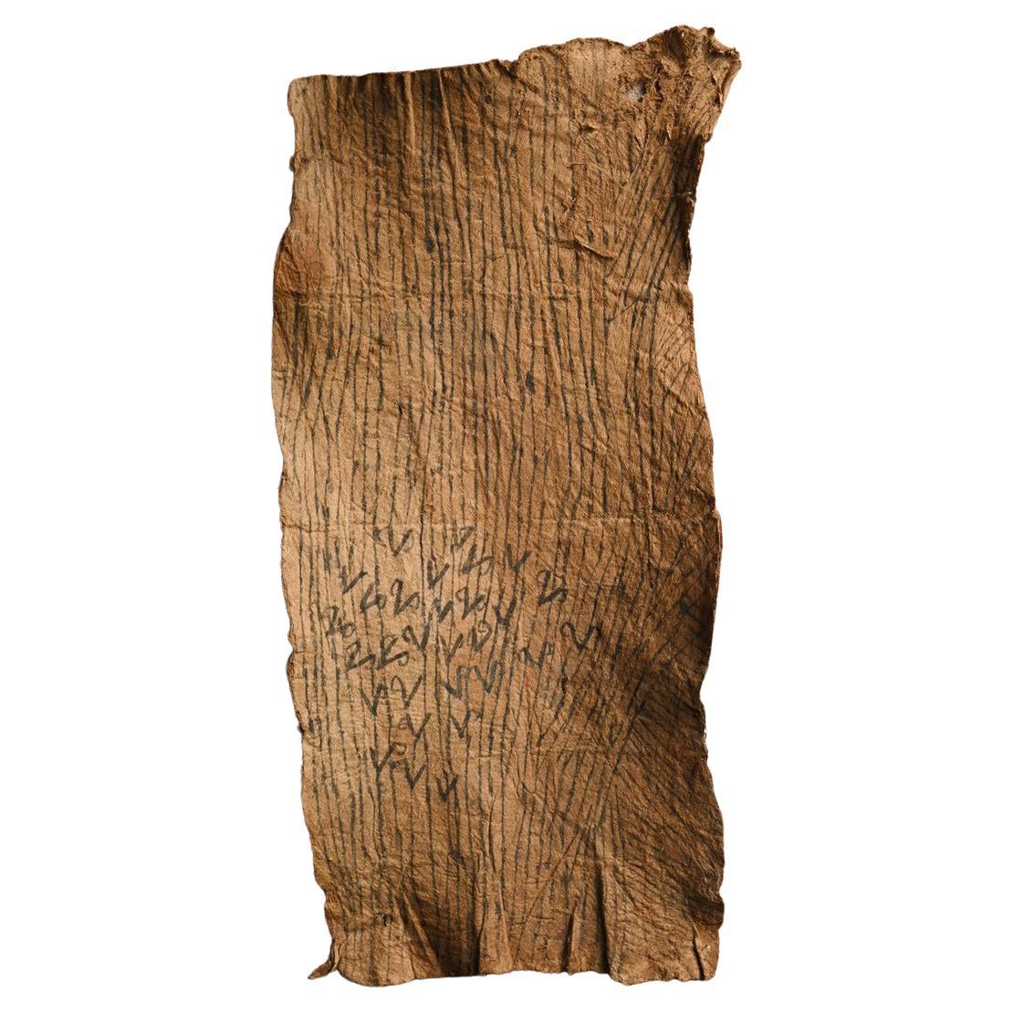 Tissu d'écorce africain ancien/20e siècle/ Textile d'écorce pygmy malaisien en vente