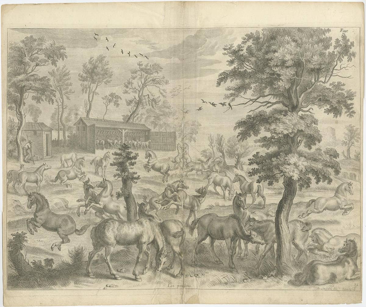Old and Interesting Rare Print of a Study of Horses, ca.1665