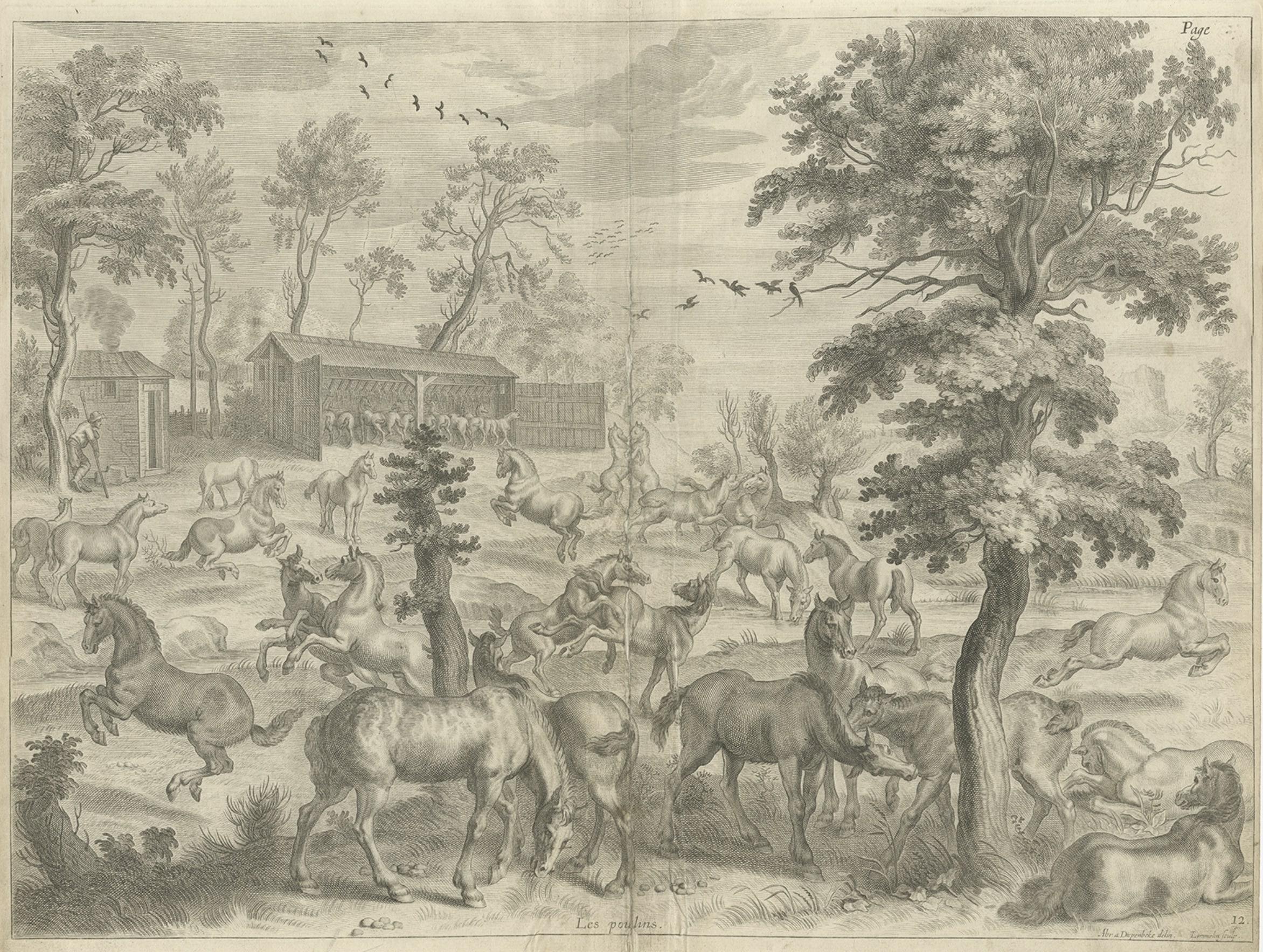 Old and Interesting Rare Print of a Study of Horses, ca.1665 In Good Condition For Sale In Langweer, NL
