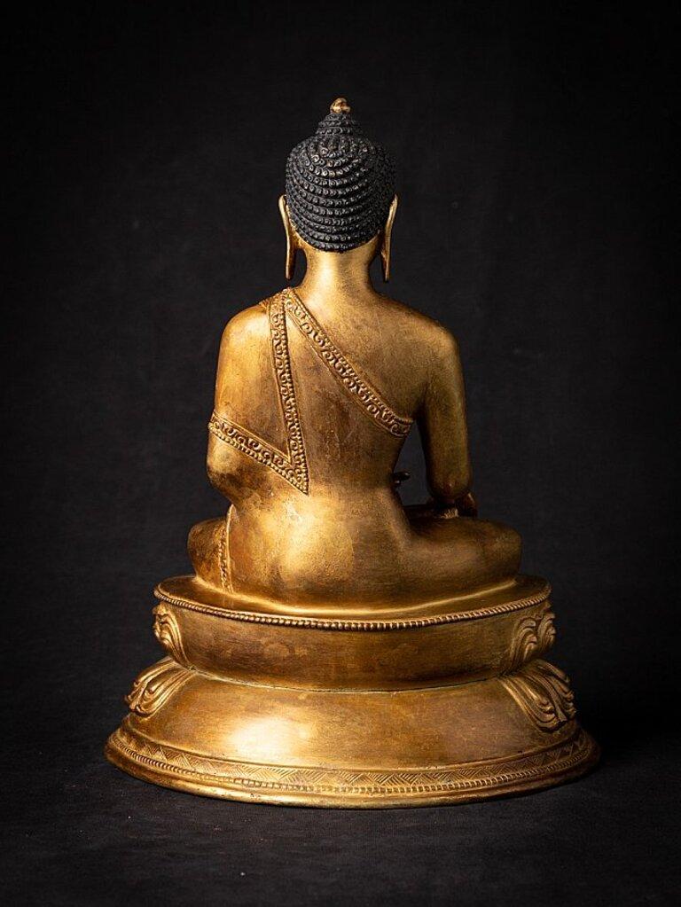 Antica statua di bronzo del Buddha nepalese, Nepal 13