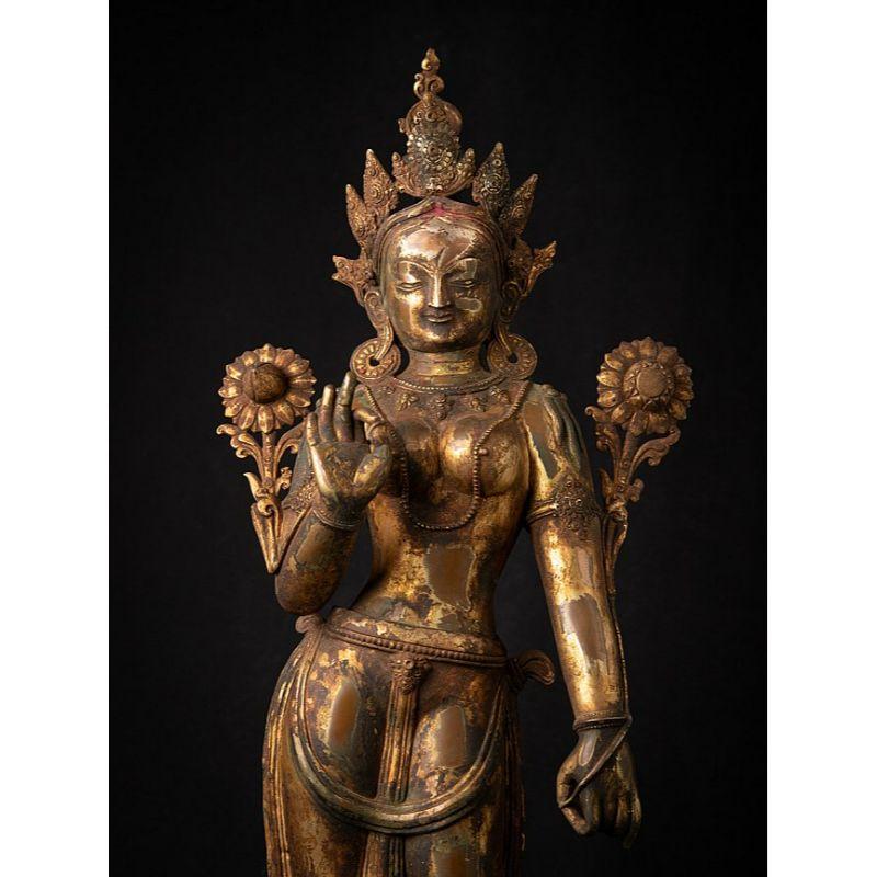 Material: bronze
88 cm high 
32 cm wide and 20 cm deep
Weight: 13.65 kgs
Fire gilded with 24 krt. gold
Vitarka mudra
Originating from Nepal
Early / middle 20th century
Very nice quality !

