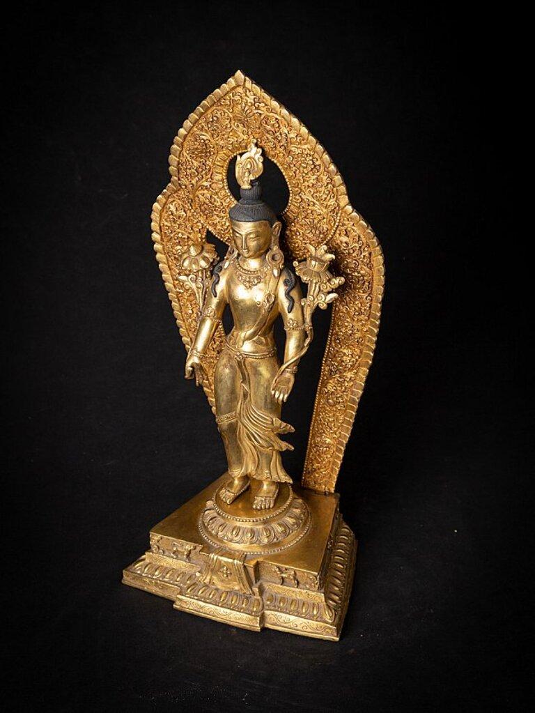 Old Bronze Nepali Lokeshwor Statue from Nepal For Sale 8