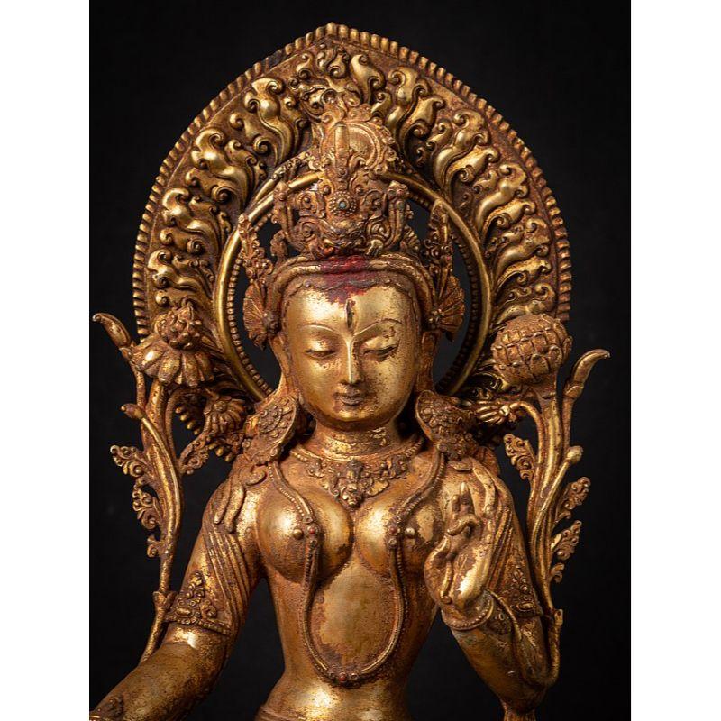 Material: bronze
50 cm high 
31 cm wide and 24,5 cm deep
Weight: 9.40 kgs
Fire gilded with 24 krt. gold
Originating from Nepal
Early 20th century
Very nice quality !.

