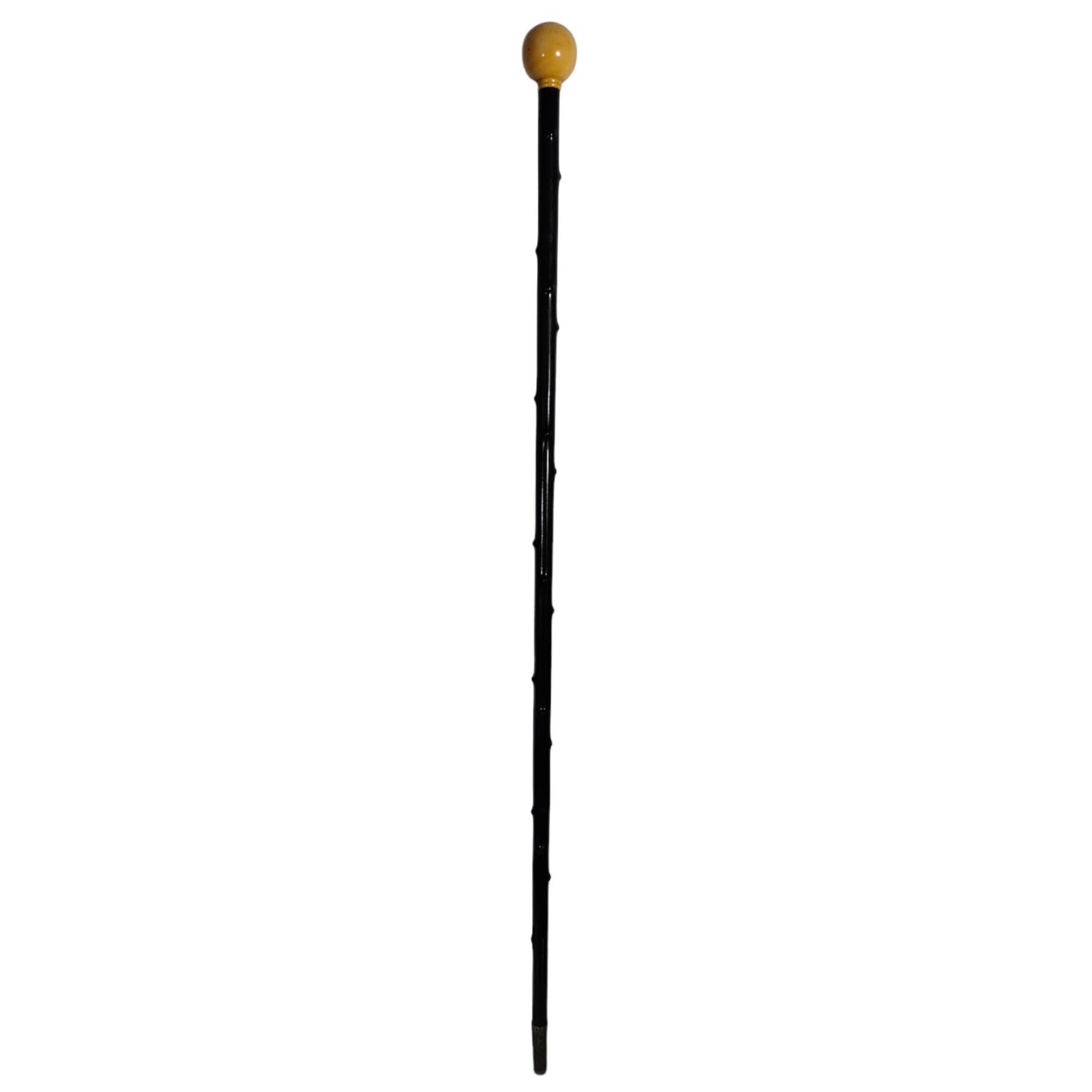 Vecchia canna del XIX secolo