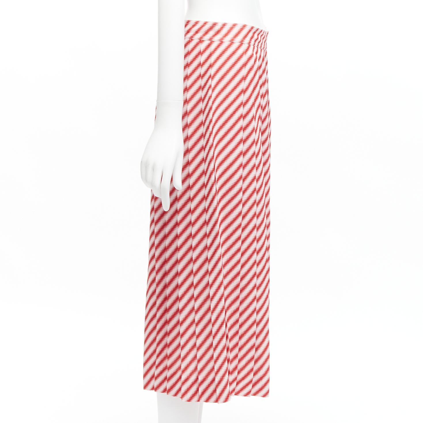Women's OLD CELINE PHOEBE PHILO diagonal stripe pleated wide leg culottes pants FR40 L