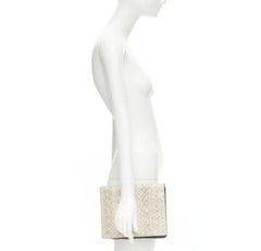 OLD CELINE Phoebe Philo natural scaled leather double flap portfolio clutch bag