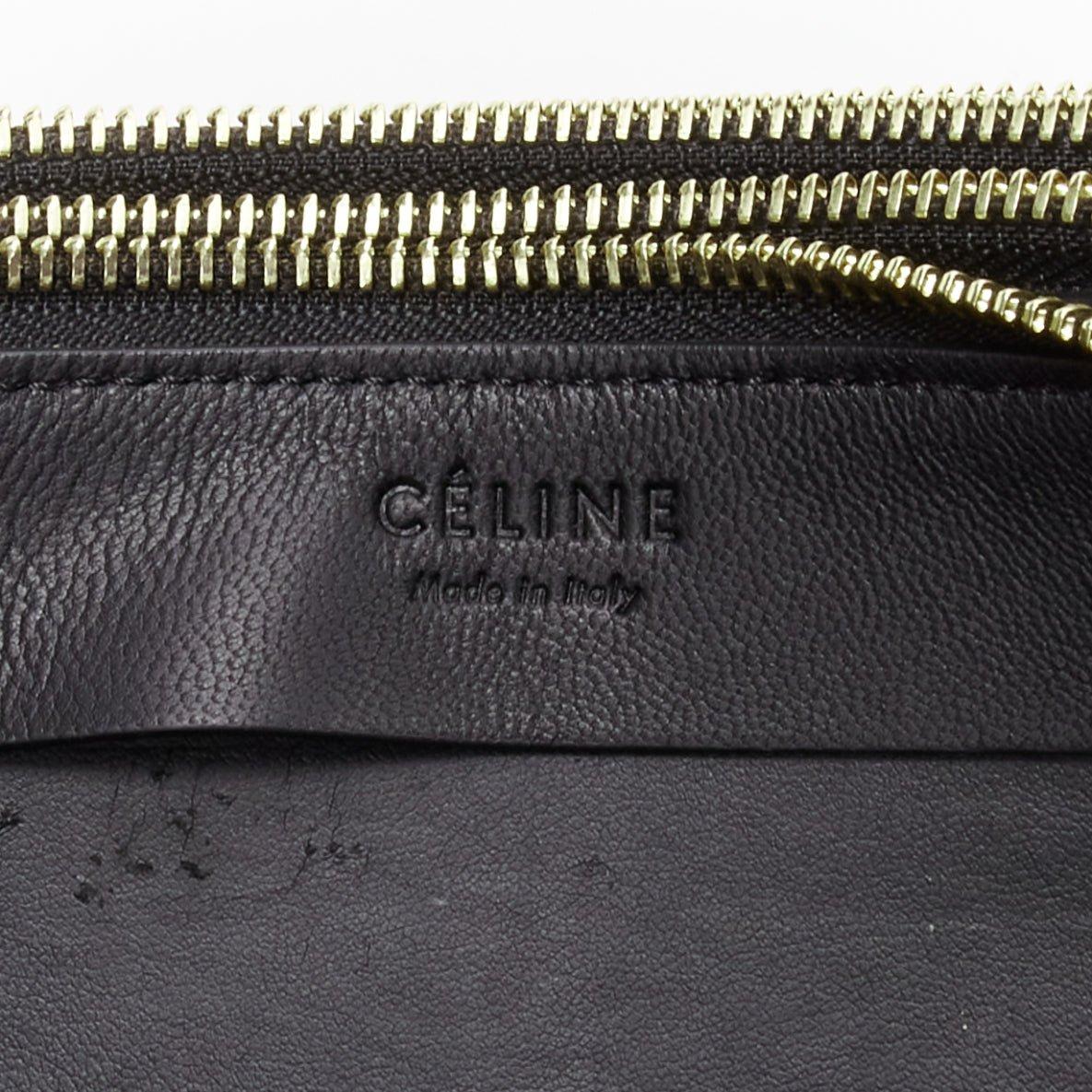 VECCHIA Celine Small Trio marrone in pelle squamata, borsa a tracolla staccabile in vendita 6