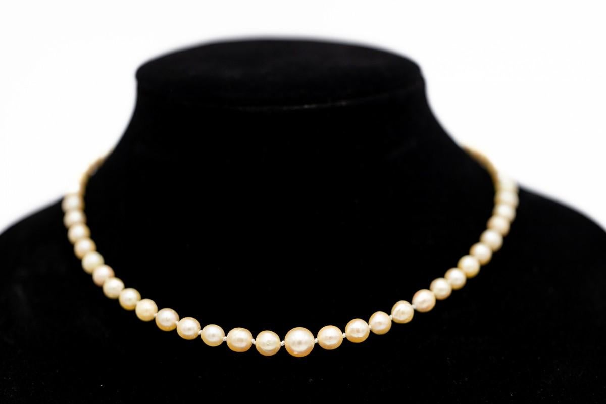 Old European Cut Old cultured pearl necklace with gold-platinum clasp with old European diamonds. For Sale