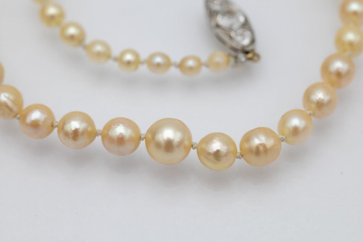 Old cultured pearl necklace with gold-platinum clasp with old European diamonds. In Good Condition For Sale In Chorzów, PL