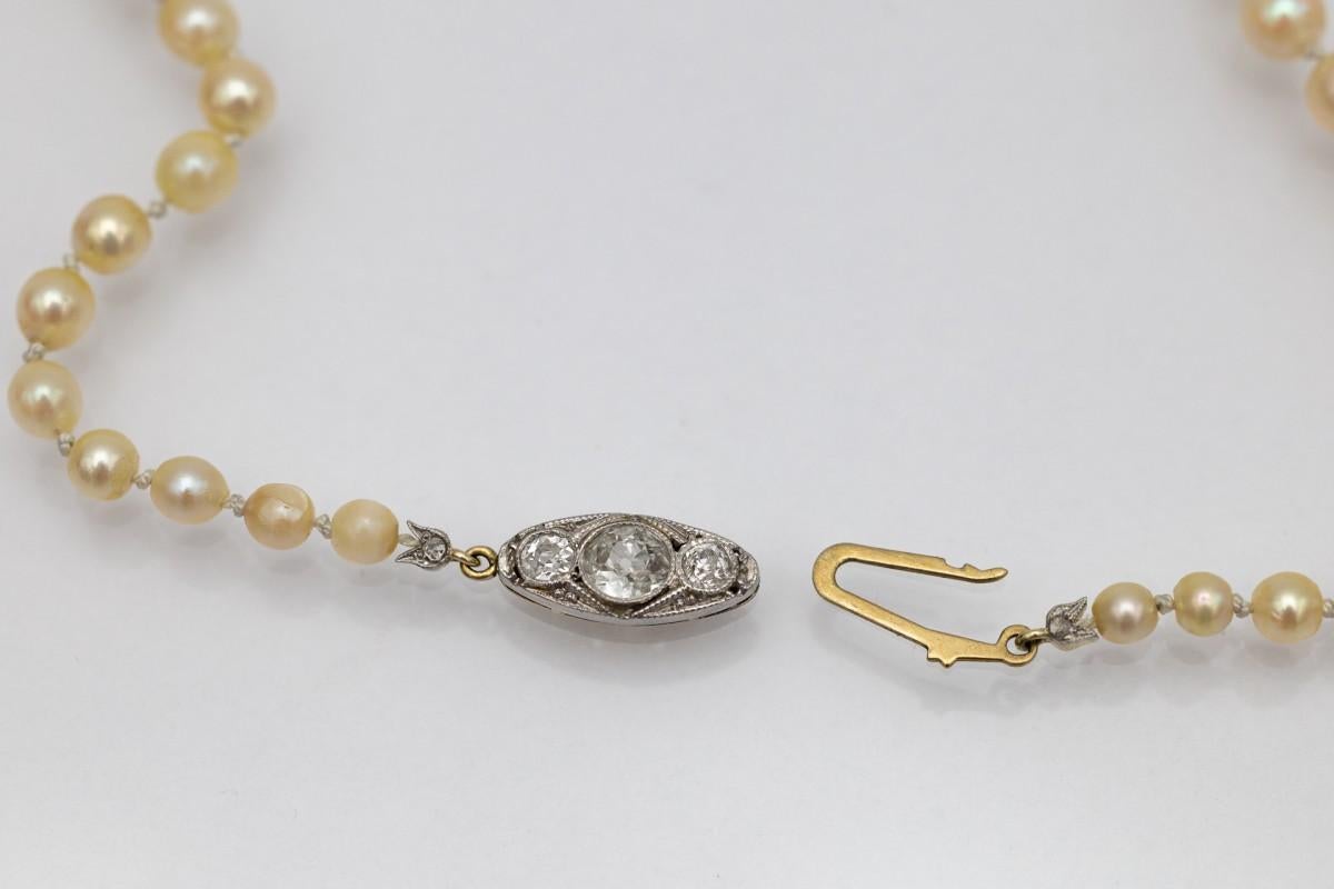 Women's or Men's Old cultured pearl necklace with gold-platinum clasp with old European diamonds. For Sale