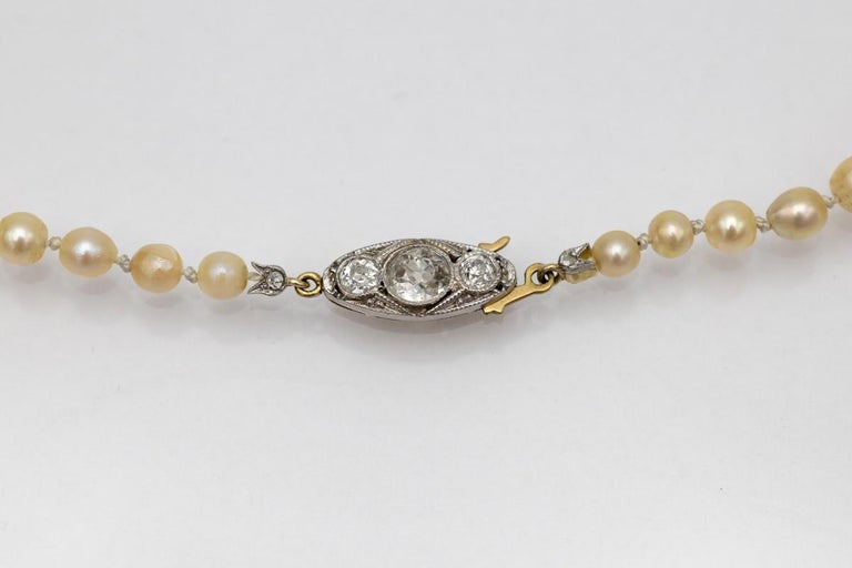 Collier De Perles De Culture Ancien Avec Fermoir En Or - Boîte Du Damas - Occasion