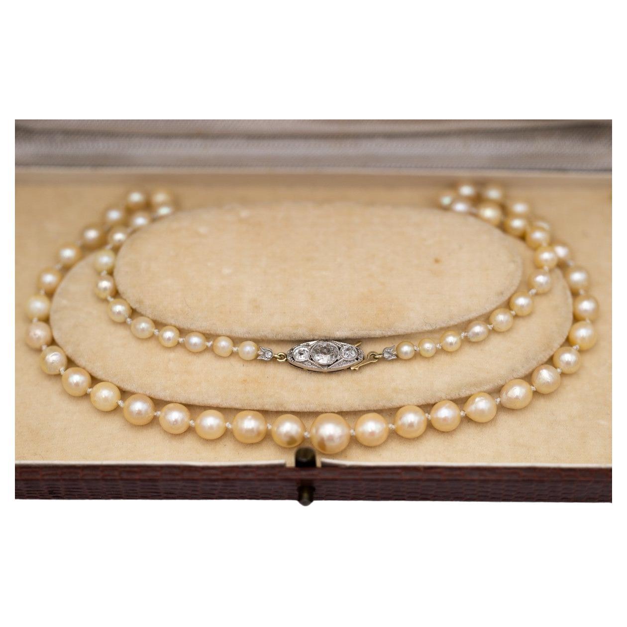 Old cultured pearl necklace with gold-platinum clasp with old European diamonds. For Sale