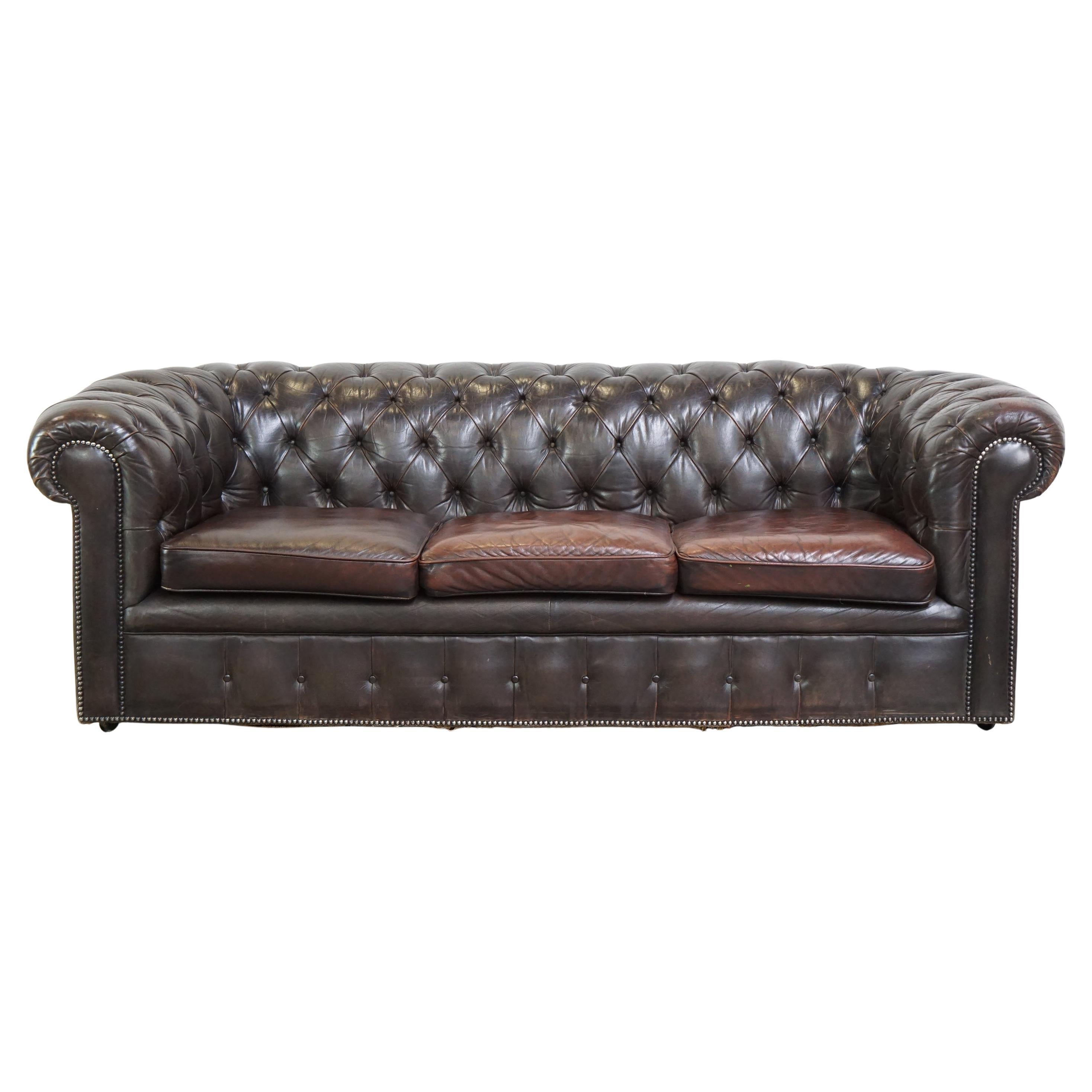 Ancien canapé Chesterfield 3 places en peau de vache brun foncé avec beaucoup de caractère