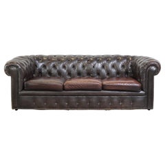 Vintage Old dark brown 3-seater cowhide chesterfield sofa with lots of character
