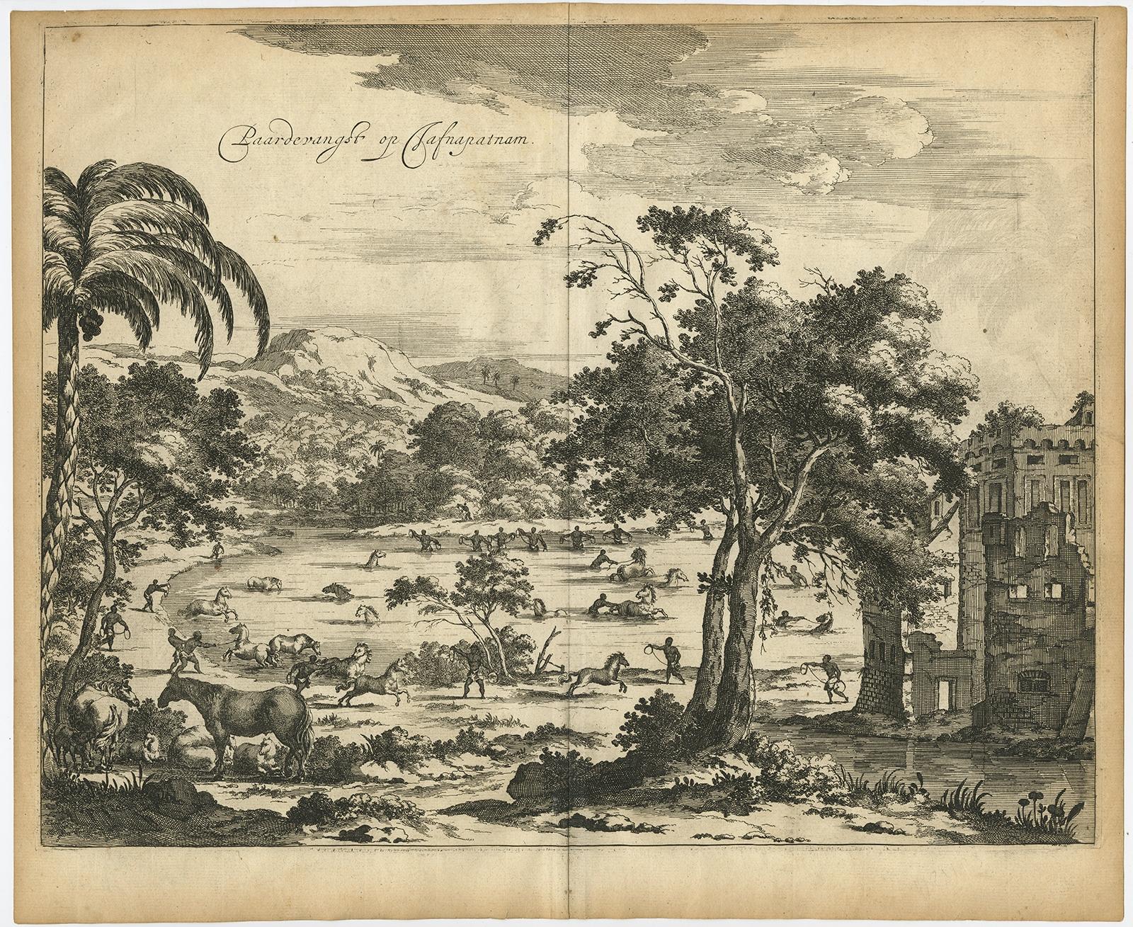 Antique print, titled: 'Paardevangst op Jafnapatnam' - This plate shows the catching of horses on Jafnapatnam. The province of Jaffna , and specially the fort at Jaffnapatnam were the last Portuguese holdings in Ceylon / Sri Lanka before they were