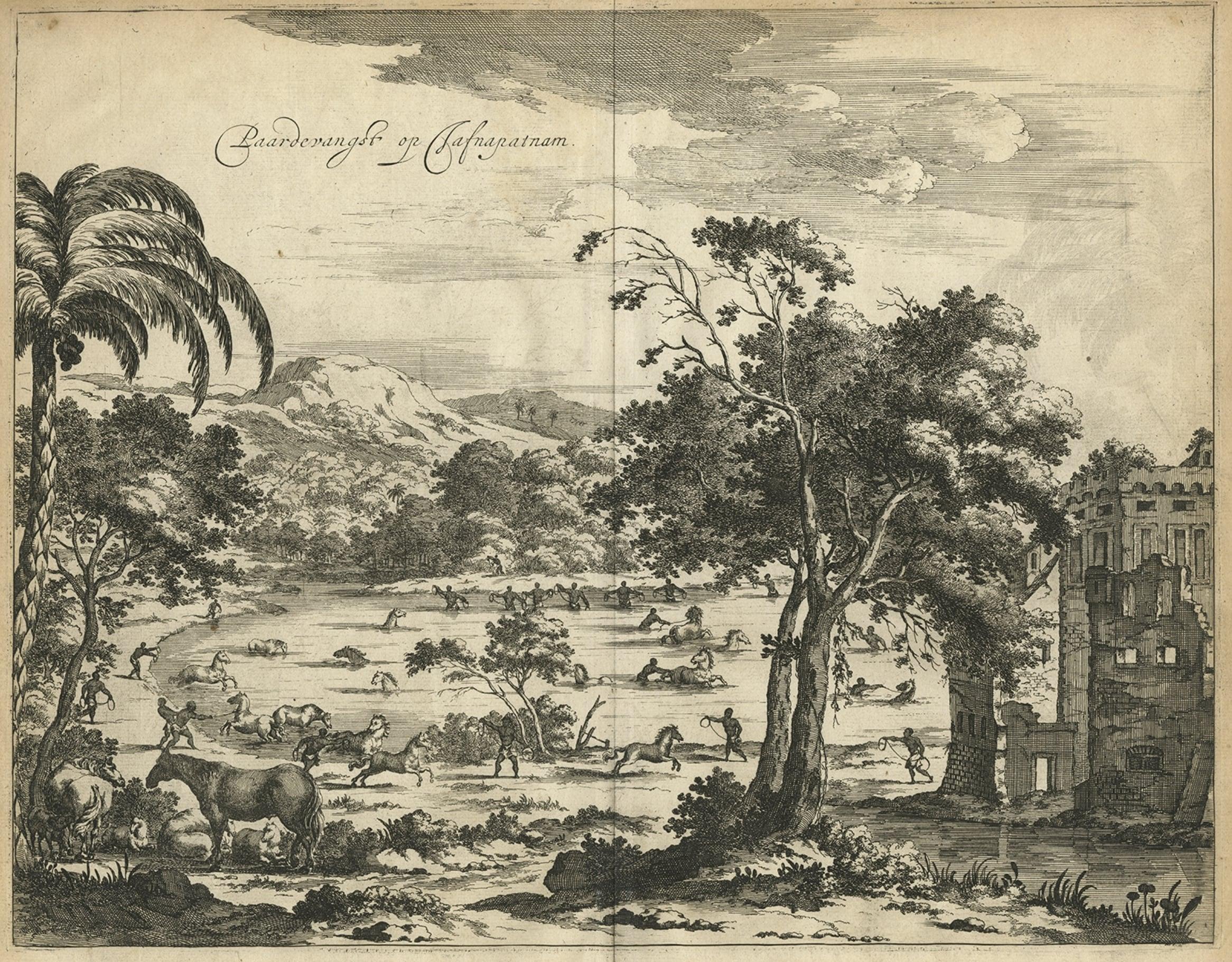 Ancienne gravure du cachage de chevaux sur Jafnapatnam, Ceylan (Sri Lanka), 1672 Bon état - En vente à Langweer, NL