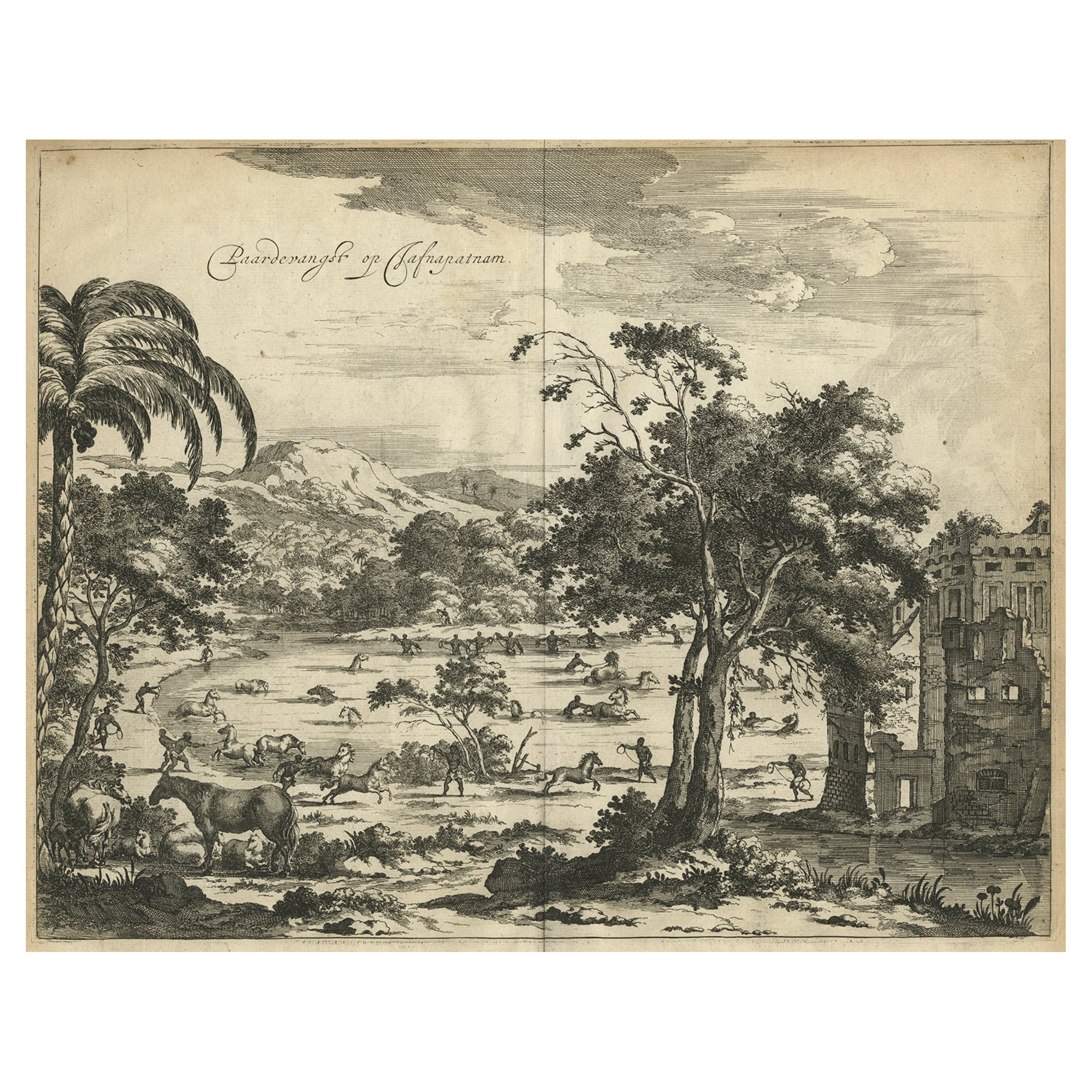 Ancienne gravure du cachage de chevaux sur Jafnapatnam, Ceylan (Sri Lanka), 1672
