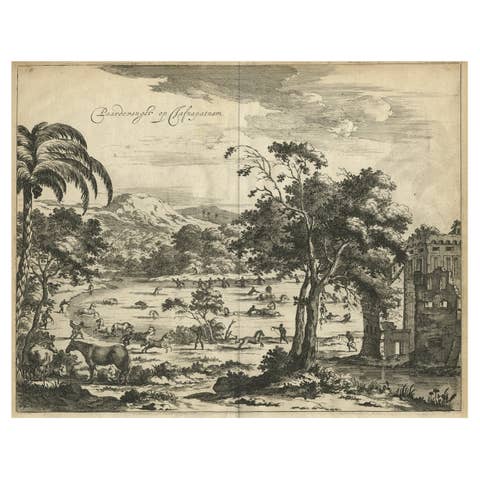 Old Engraving of The Catching of Horses on Jafnapatnam, Ceylon 'Sri Lanka', 1672