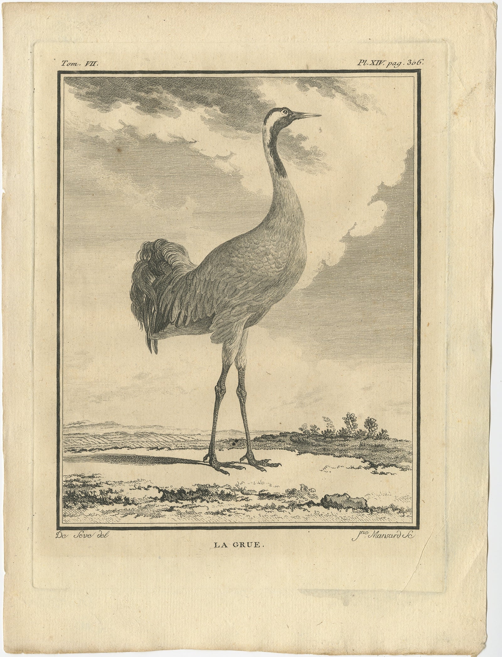 Antique print titled ‘La Grue’. This print depicts the crane bird and originates from Buffon’s ‘Histoire Naturelle’, published in Paris 1795.

Artists and Engravers: Comte de Buffon (September 7, 1707 - April 16, 1788). French naturalist,