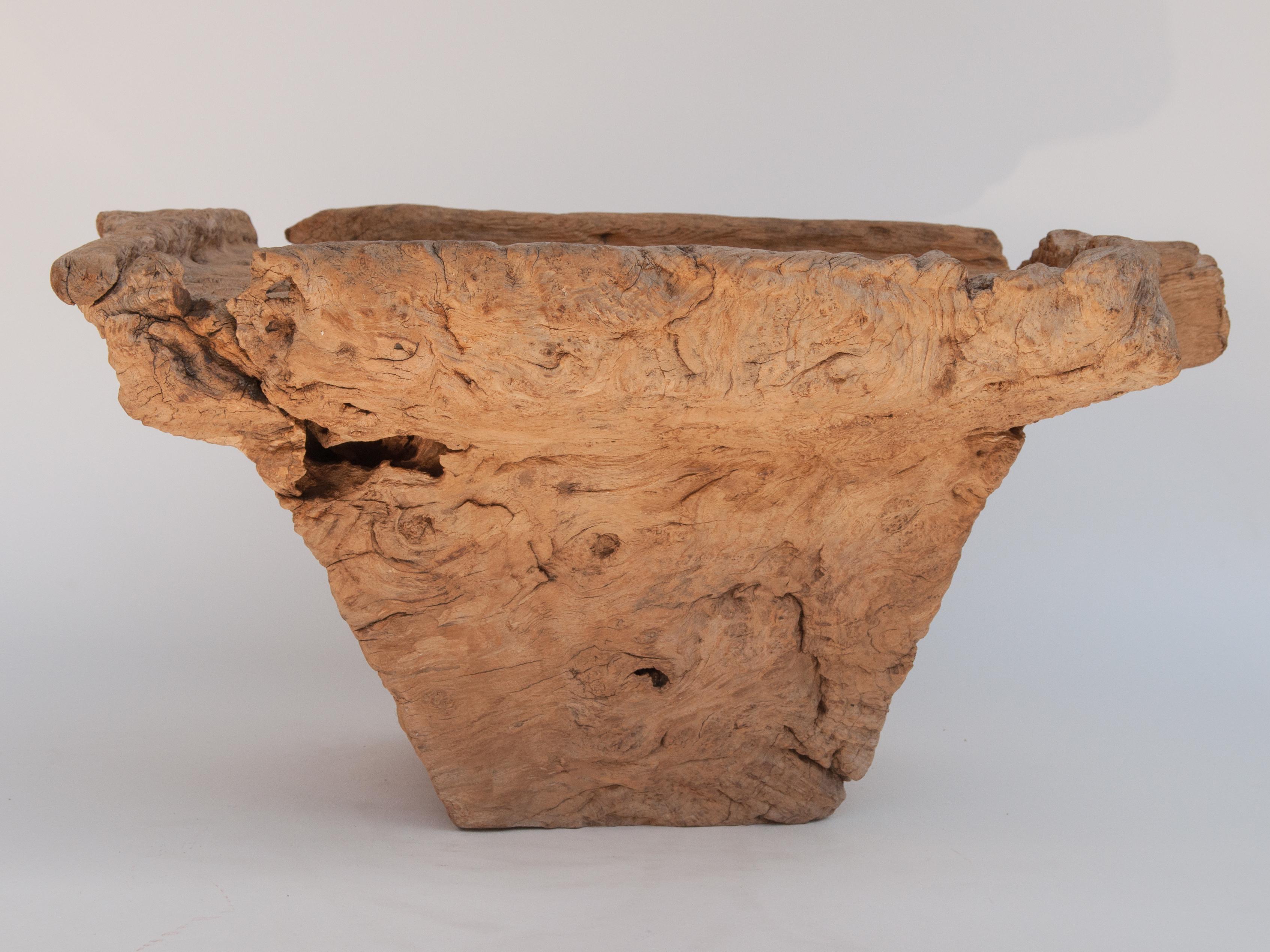Old Eroded Teak Burlwood Mortar with Handle, North Thailand, Mid-20th Century 1