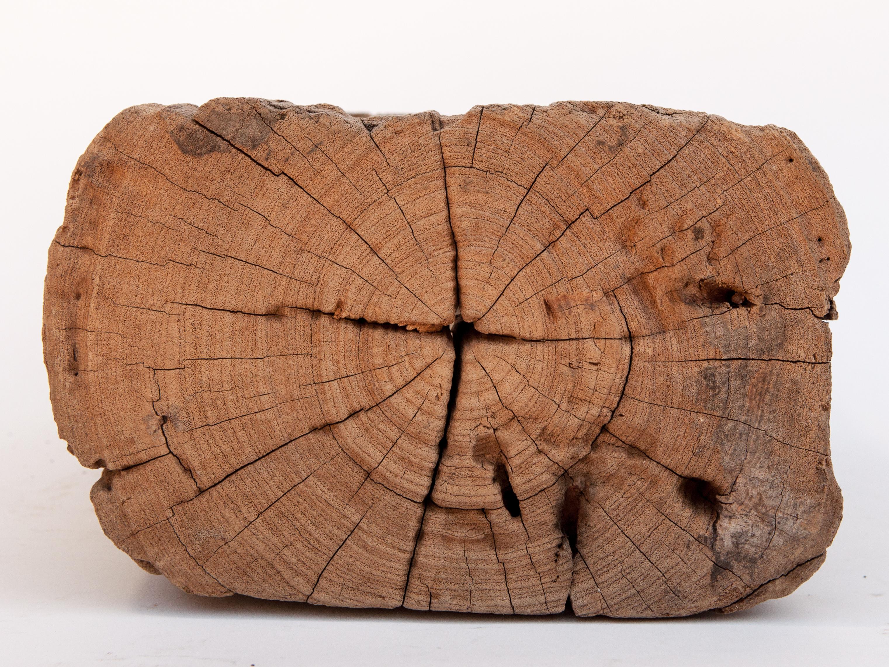 Old Eroded Teak Trough Planter, North Thailand, Mid-20th Century 6