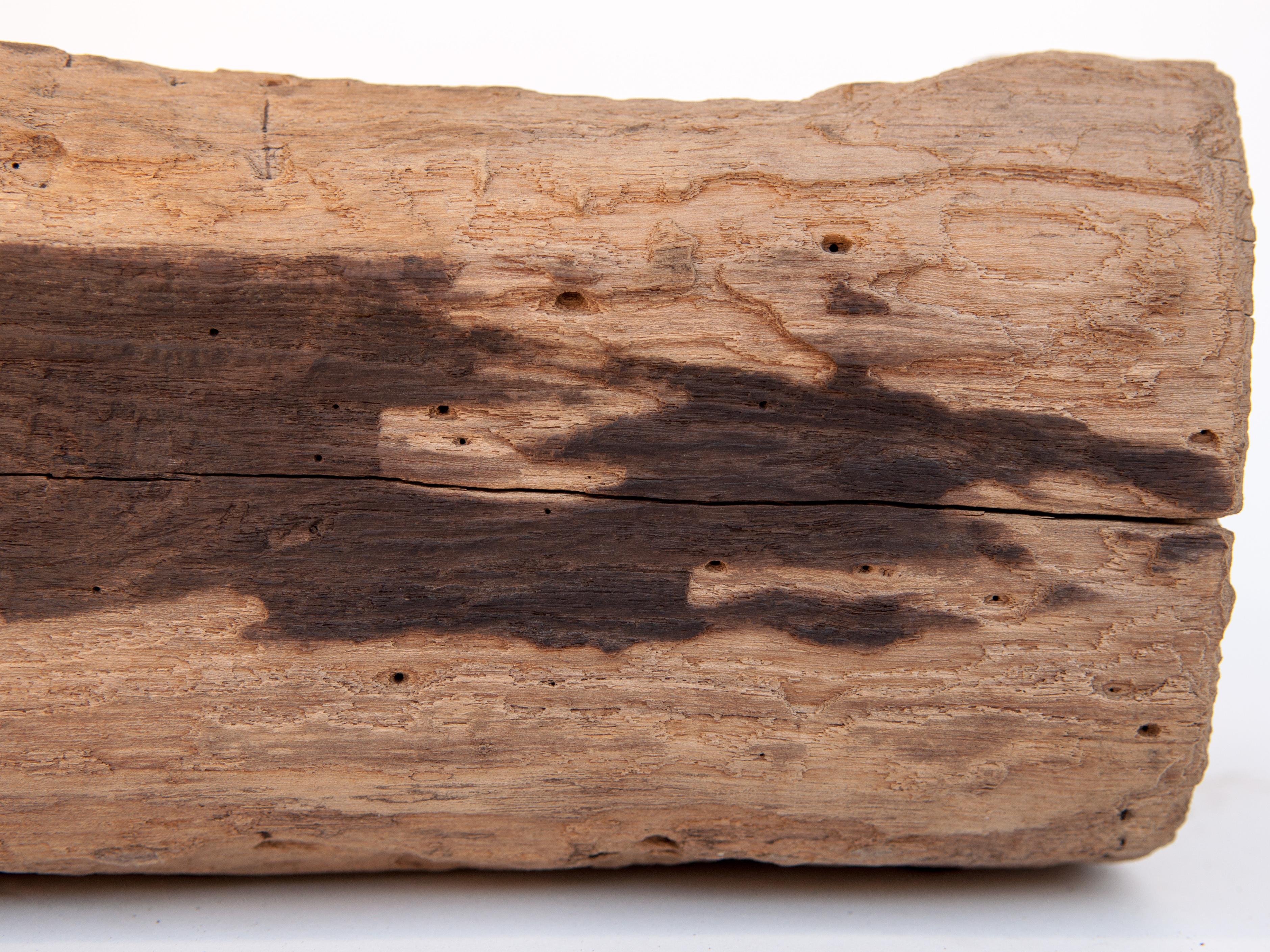 Old Eroded Teak Trough Planter, North Thailand, Mid-20th Century 3