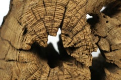 Old Eroded Wood Sculpture on an Iron Stand