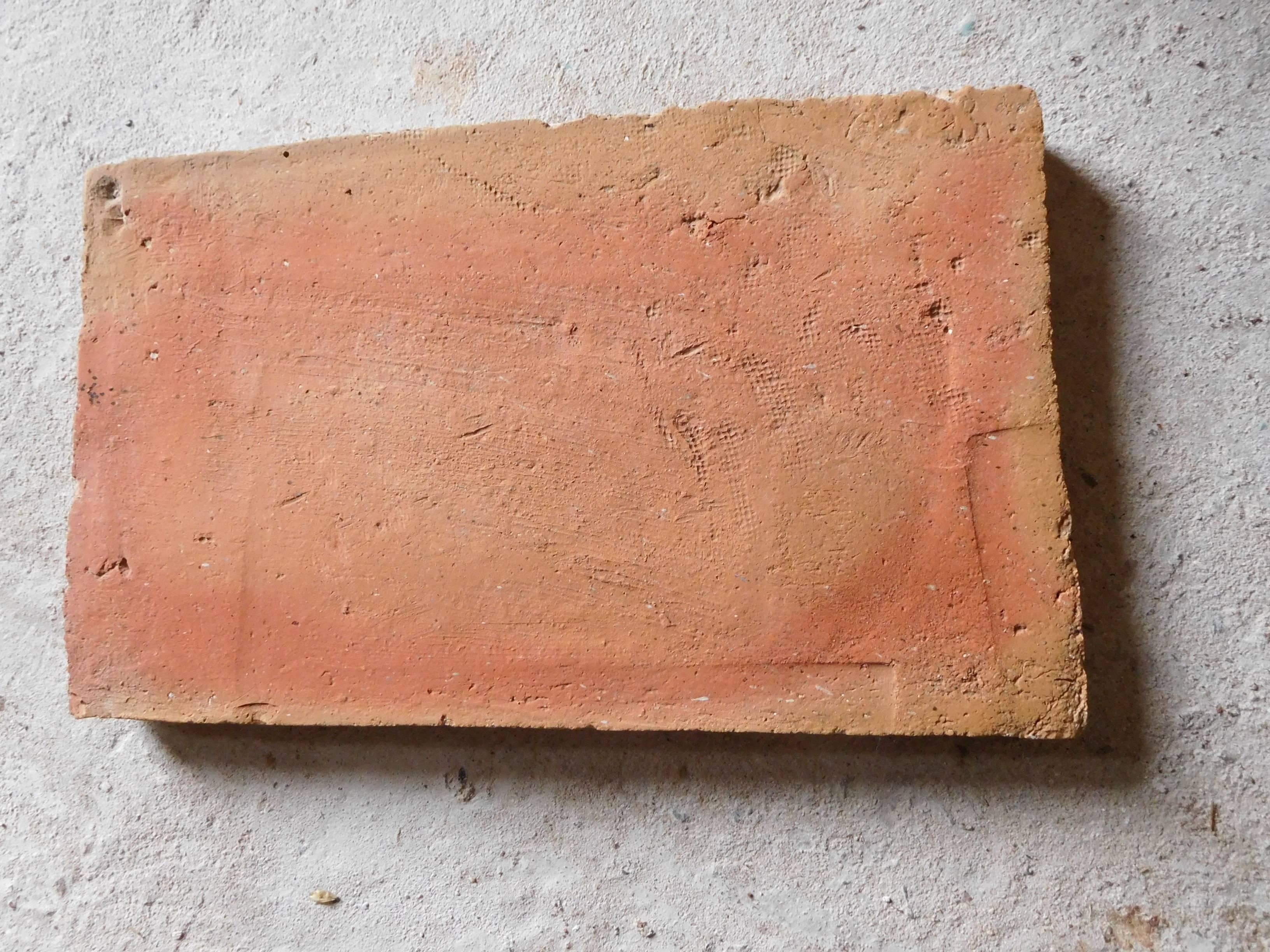 Very characteristic, old terracotta floortiles. The sun is backed, inside these tiles from the south of France. Different sizes as rectangular providable. Thickness between 22 mm. and 25 mm. Selected quality, all cleaned and in good