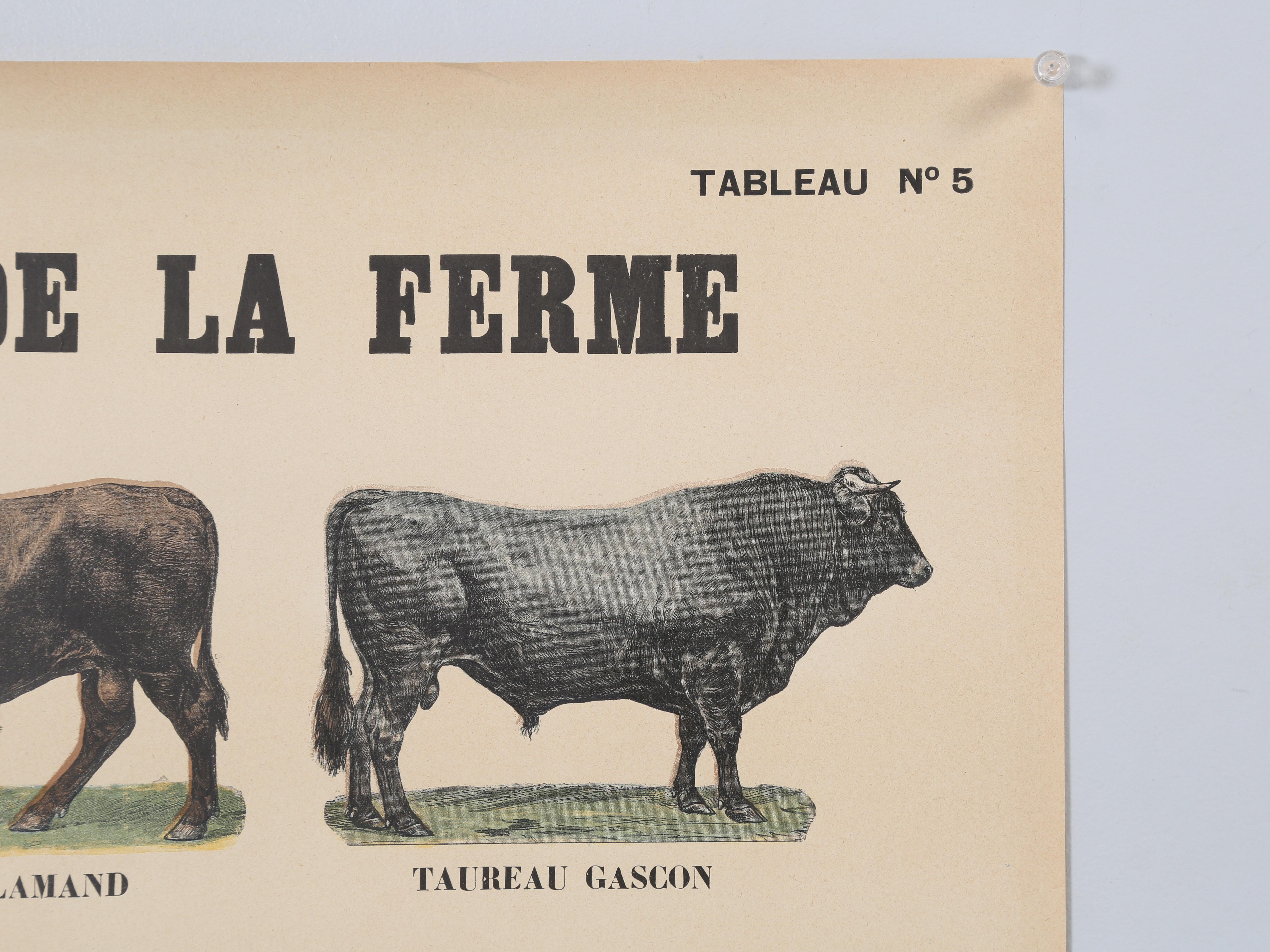 Old French Poster von Bauernhof Tiere Great für Land Französisch Küche aus Paris (Handgefertigt) im Angebot