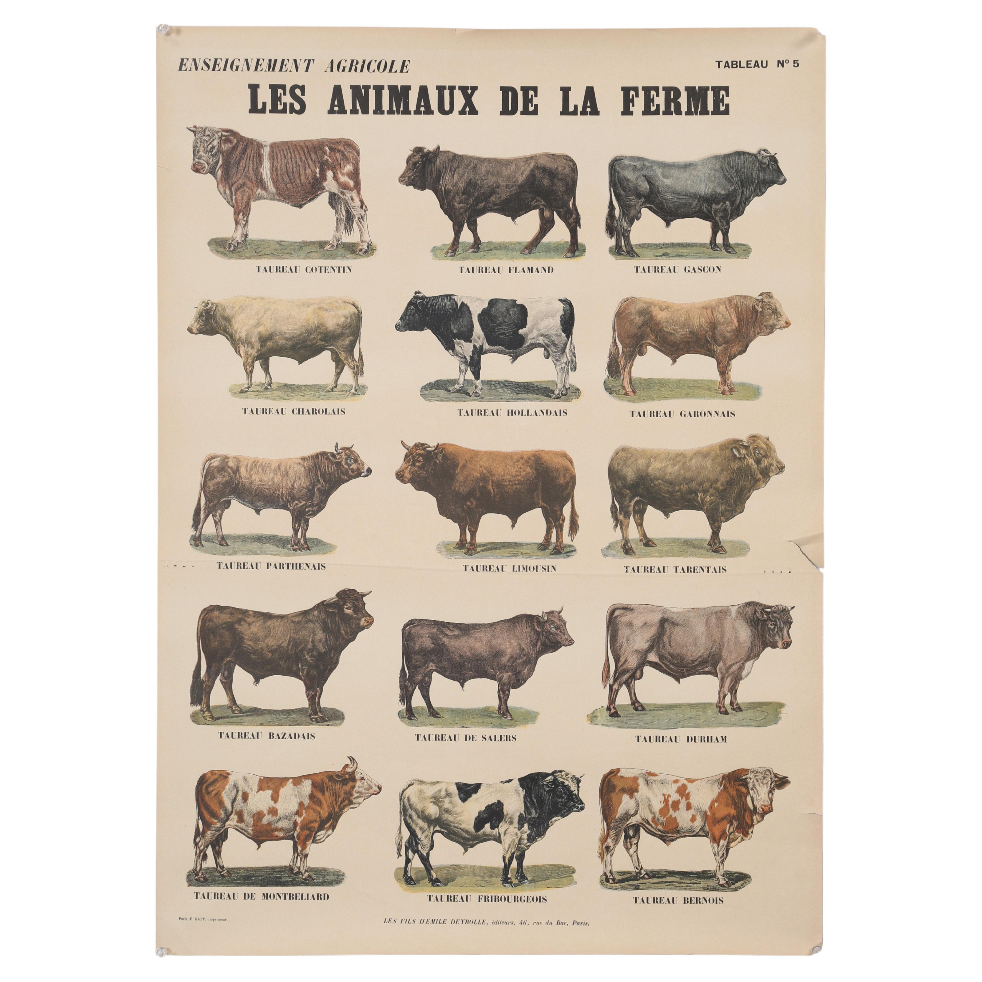 Old French Poster of Farm Animals Great for Country French Kitchen from Paris For Sale
