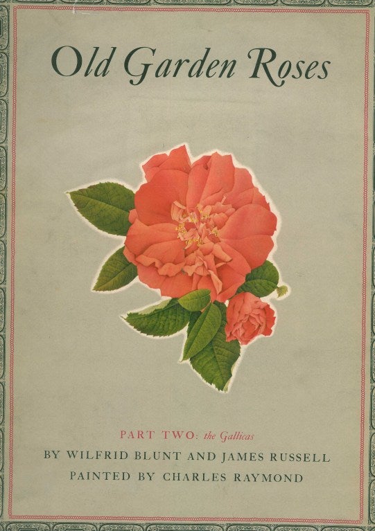 Paper Old Garden Roses (Book) For Sale