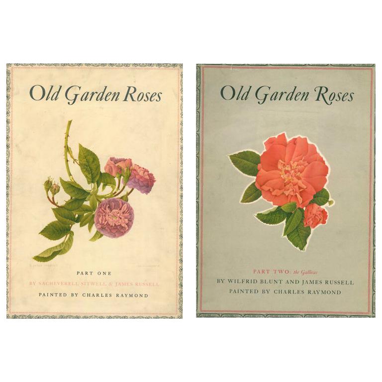 Old Garden Roses (Book) For Sale