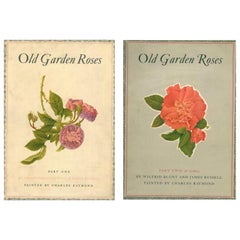 Vieilles roses de jardin (livre)