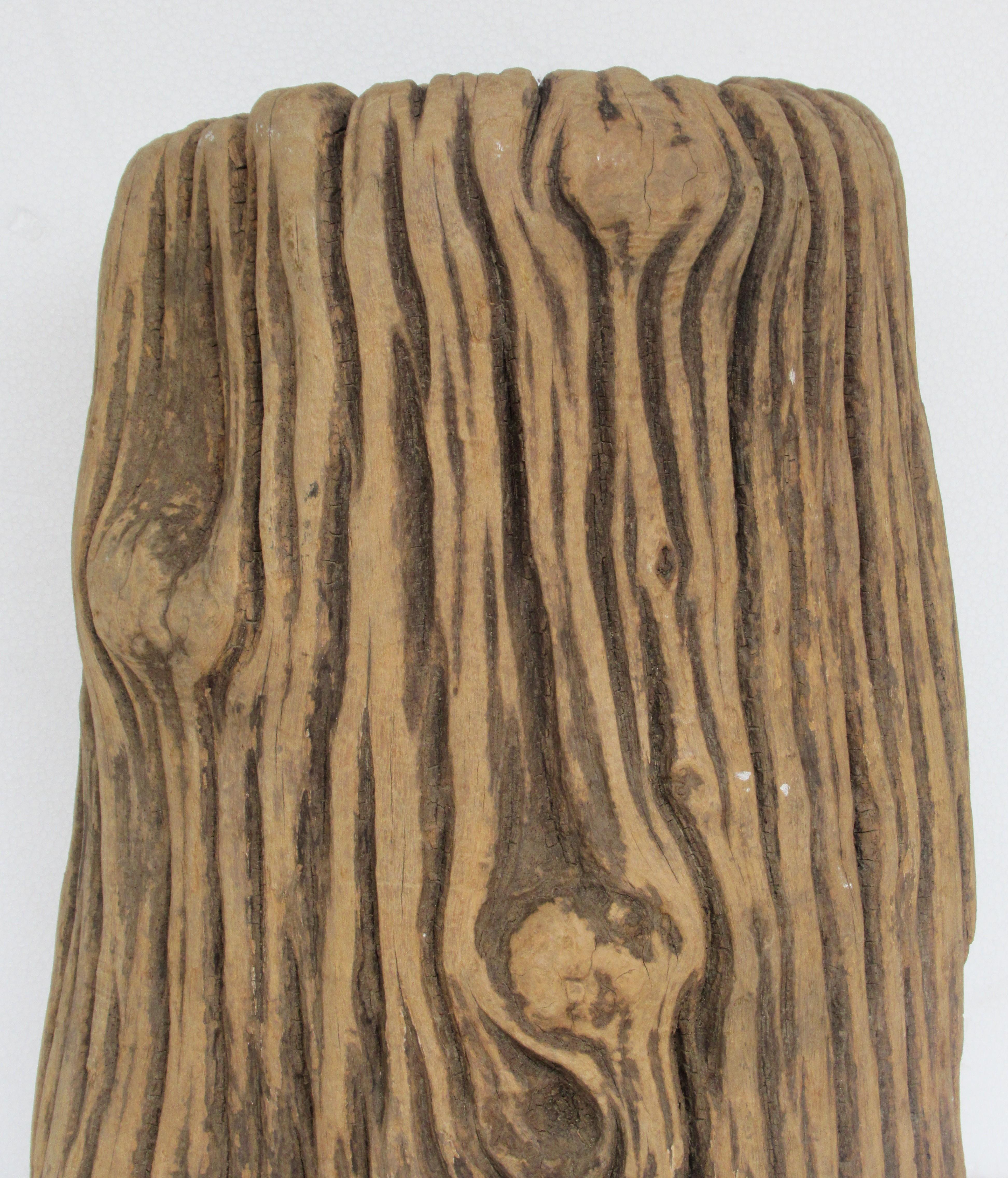 Un fragment de tronc d'arbre d'apparence ancienne qui, à première vue, semble être du faux bois plutôt que du vrai bois. Couleur magnifiquement vieillie et usure de la surface due à de nombreuses années d'exposition aux éléments. Dense et lourd. Une