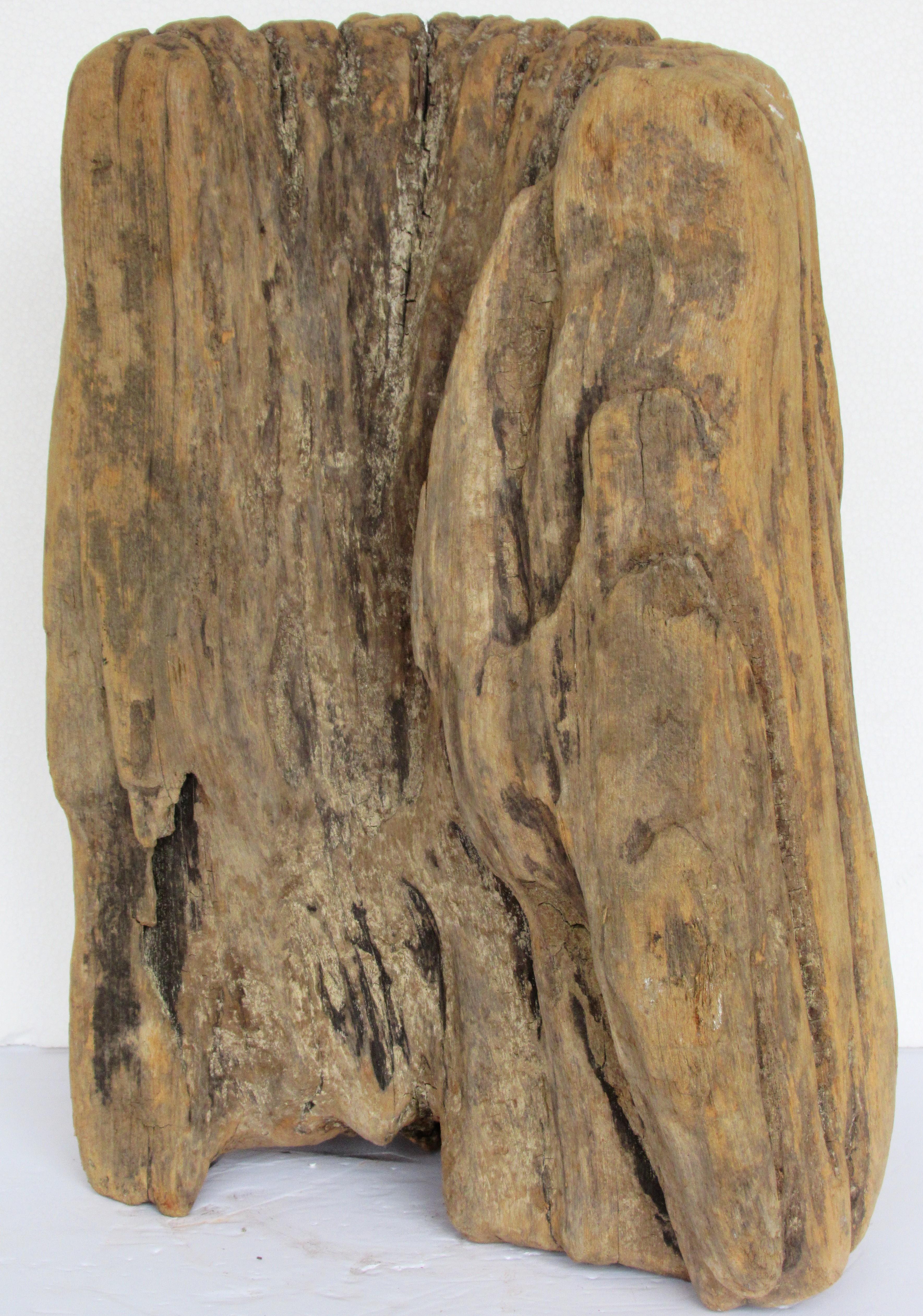 Organique   Sculpture - Objet ancien tronc d'arbre sculpté en vente