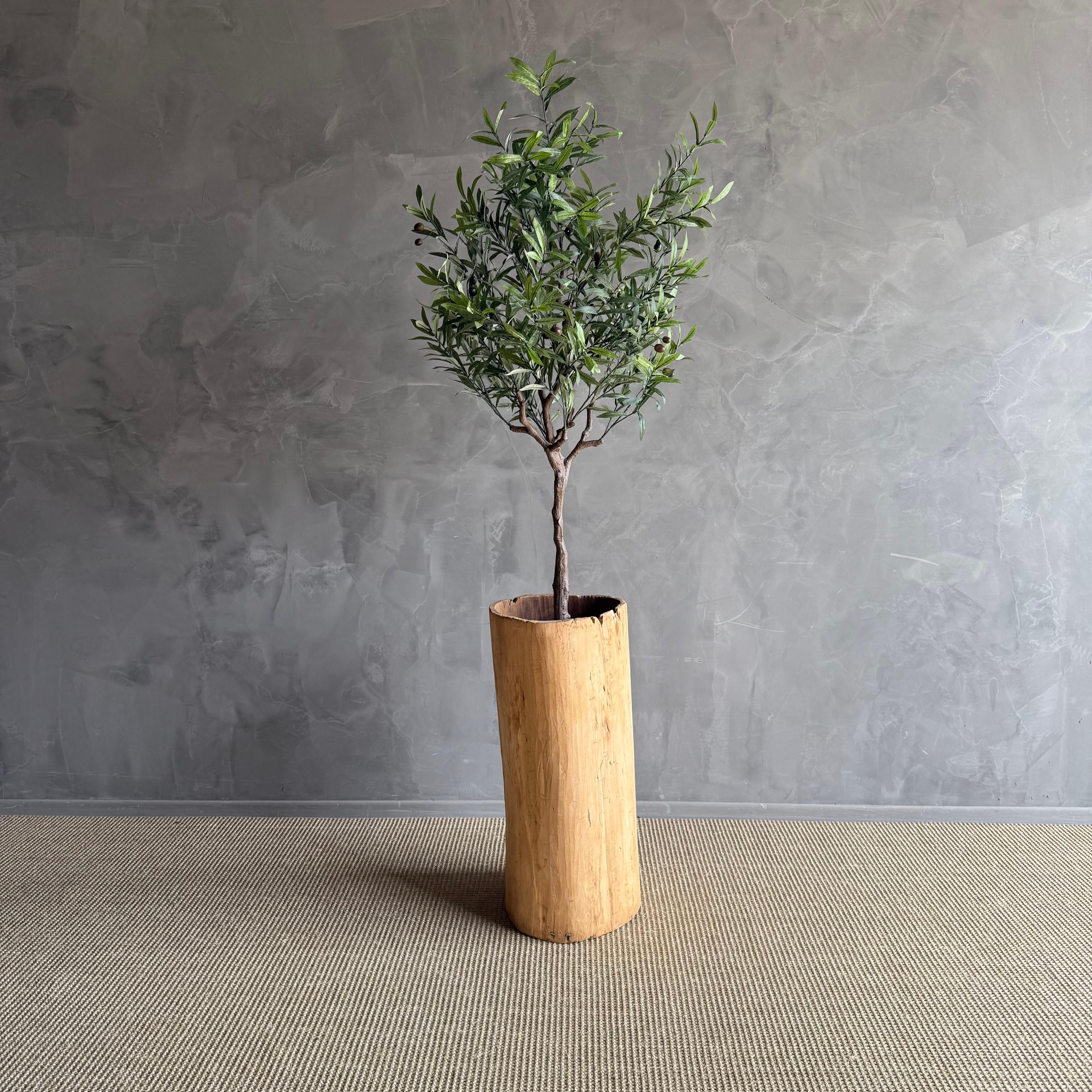 Questa fioriera unica nel suo genere dona un tocco di fascino rustico e bellezza naturale a qualsiasi spazio esterno. Il legno rovinato dalle intemperie e le imperfezioni naturali creano un senso di eleganza consumata dal tempo, perfetto per mettere