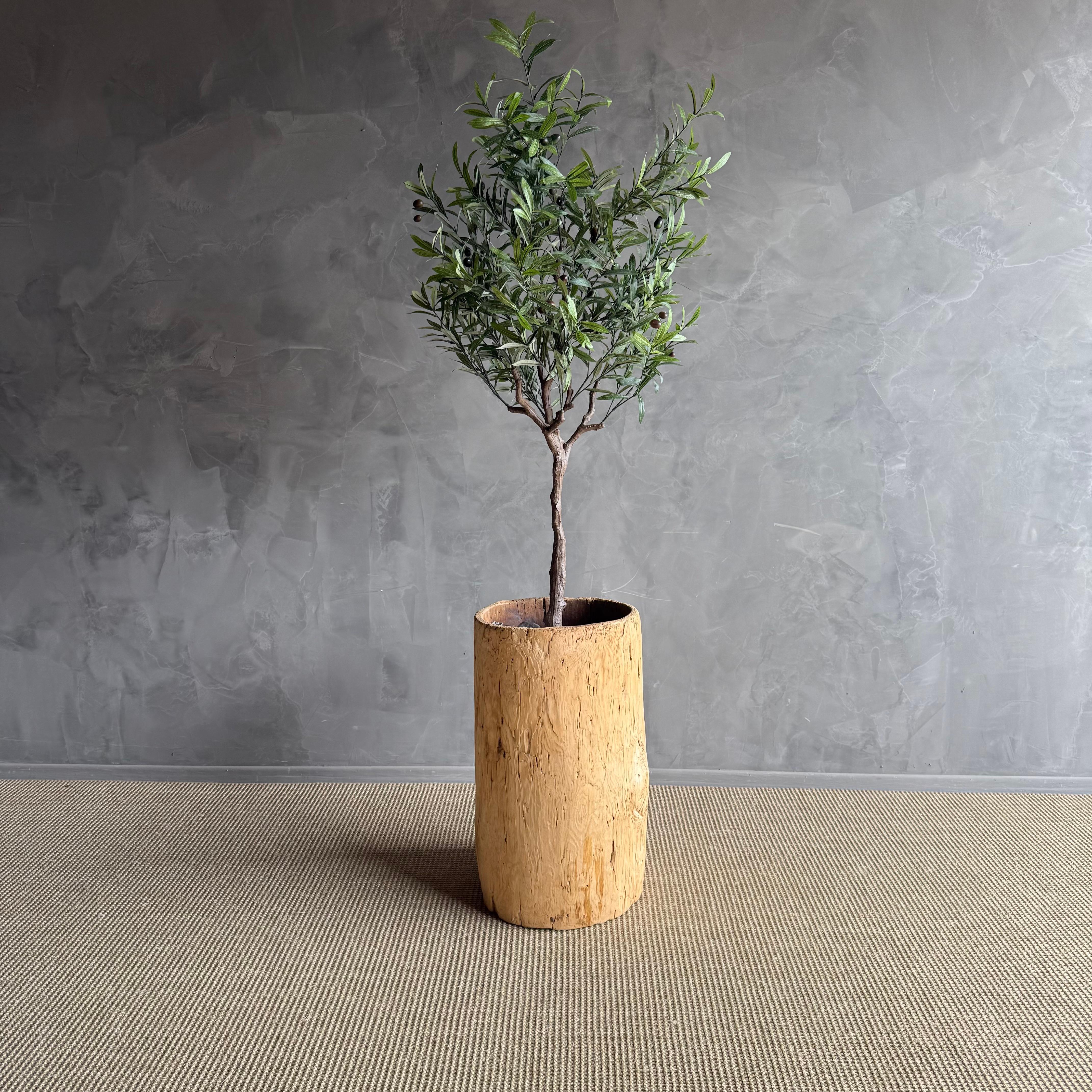 Questa fioriera unica nel suo genere dona un tocco di fascino rustico e bellezza naturale a qualsiasi spazio esterno. Il legno rovinato dalle intemperie e le imperfezioni naturali creano un senso di eleganza consumata dal tempo, perfetto per mettere