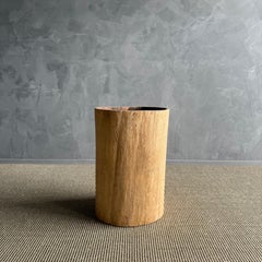 Vaso di un vecchio ceppo di albero scavato