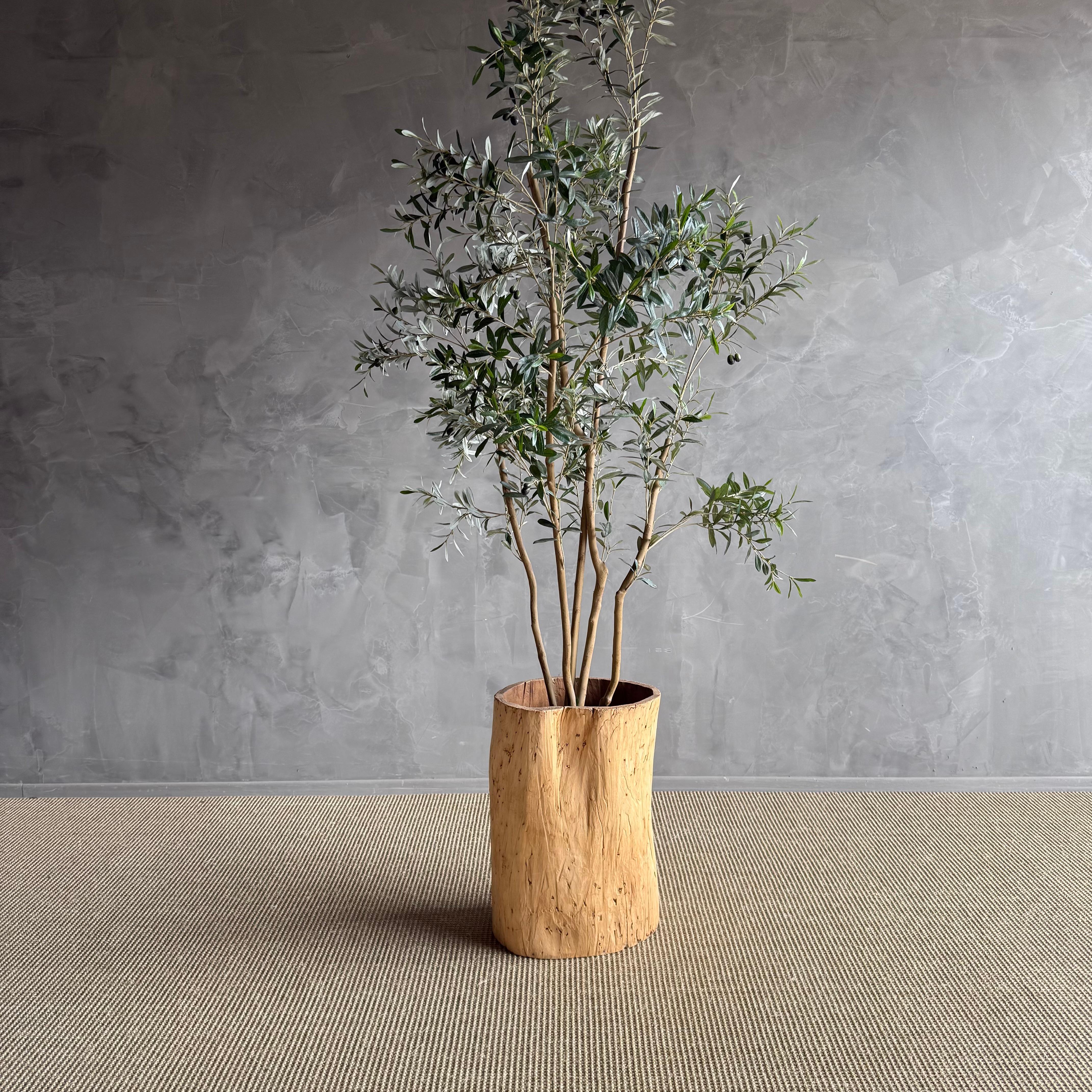 Questa fioriera unica nel suo genere dona un tocco di fascino rustico e bellezza naturale a qualsiasi spazio esterno. Il legno rovinato dalle intemperie e le imperfezioni naturali creano un senso di eleganza consumata dal tempo, perfetto per mettere