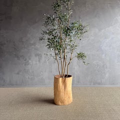 Vaso di un vecchio ceppo di albero scavato