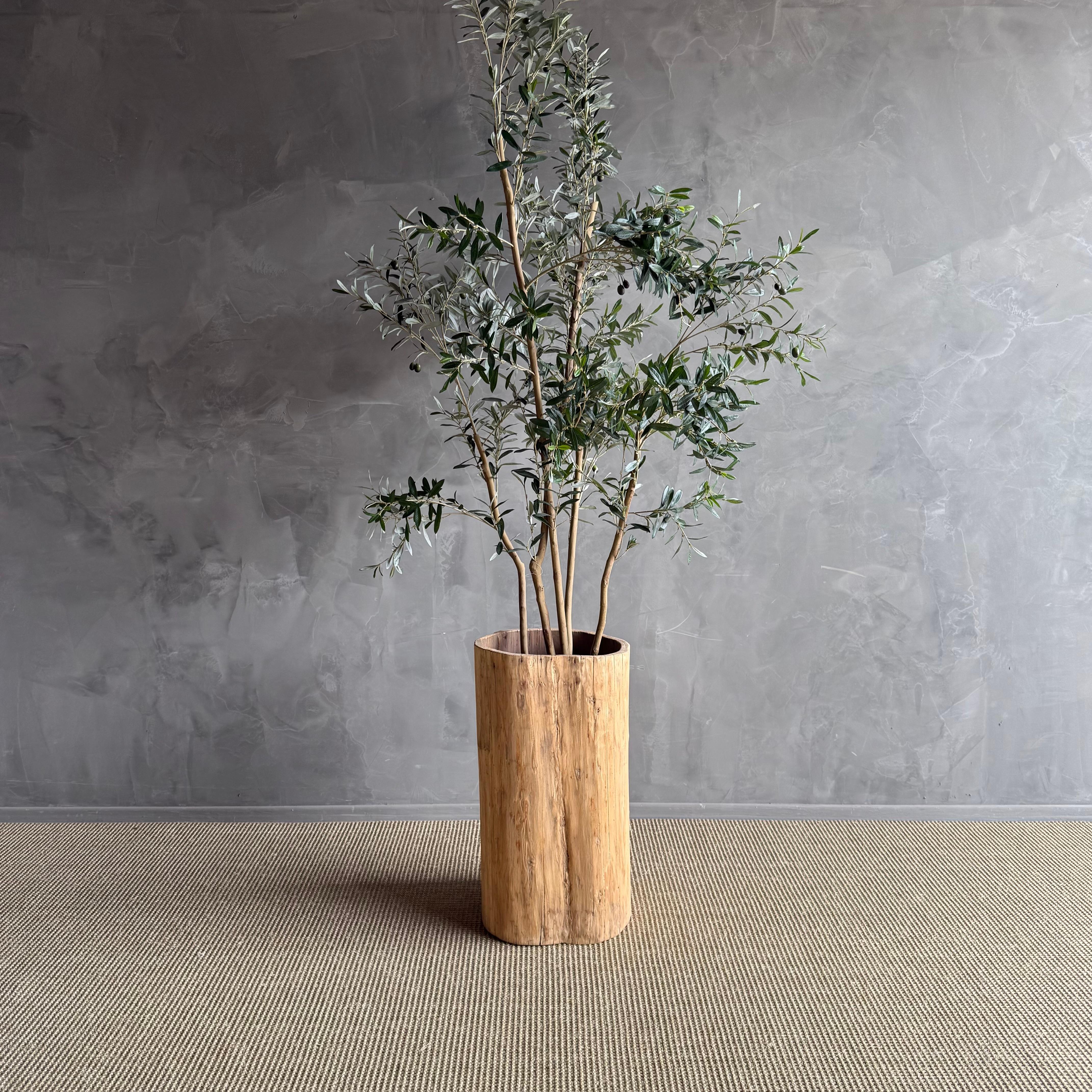 Questa fioriera unica nel suo genere dona un tocco di fascino rustico e bellezza naturale a qualsiasi spazio esterno. Il legno rovinato dalle intemperie e le imperfezioni naturali creano un senso di eleganza consumata dal tempo, perfetto per mettere