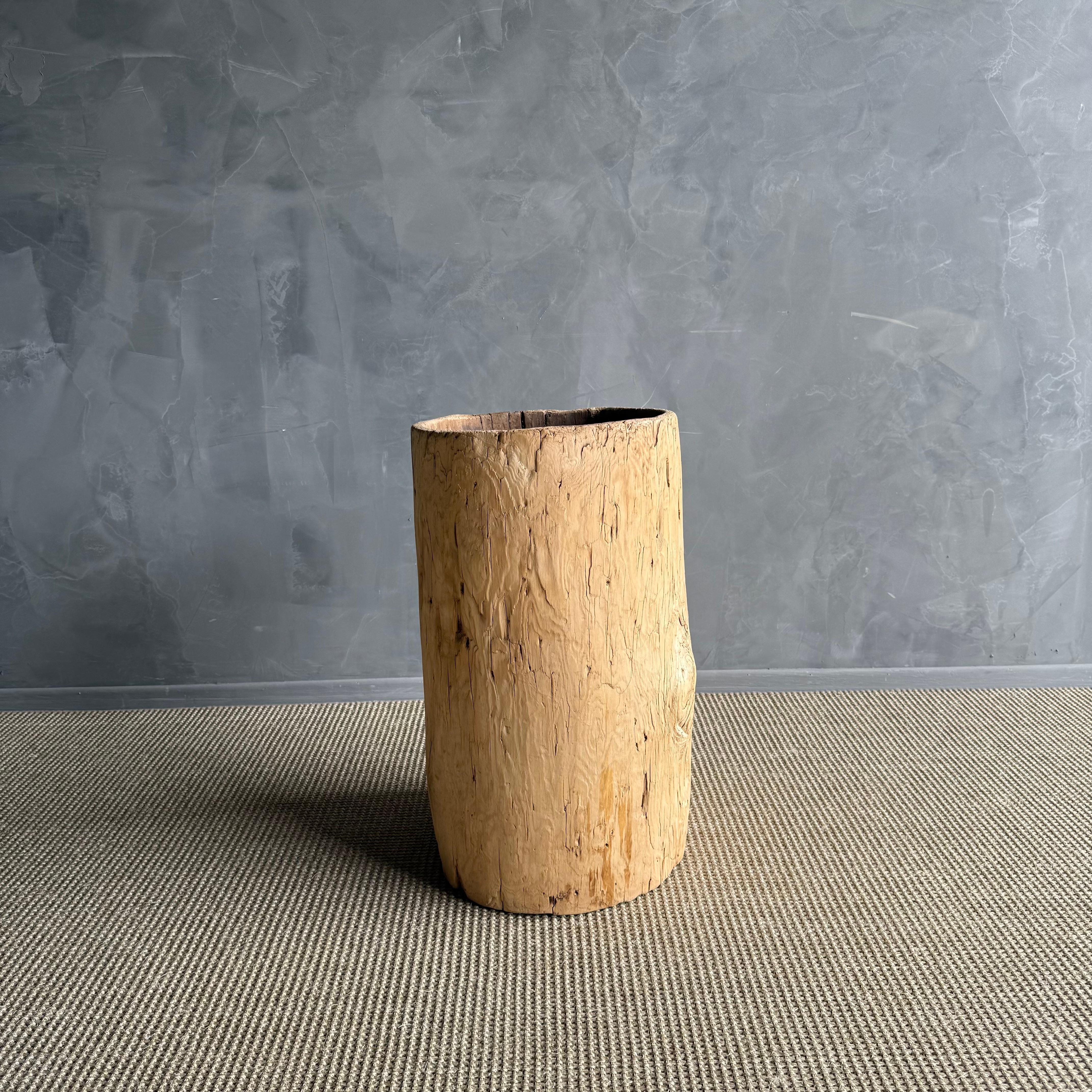 Organico moderno Vaso di un vecchio ceppo di albero scavato in vendita
