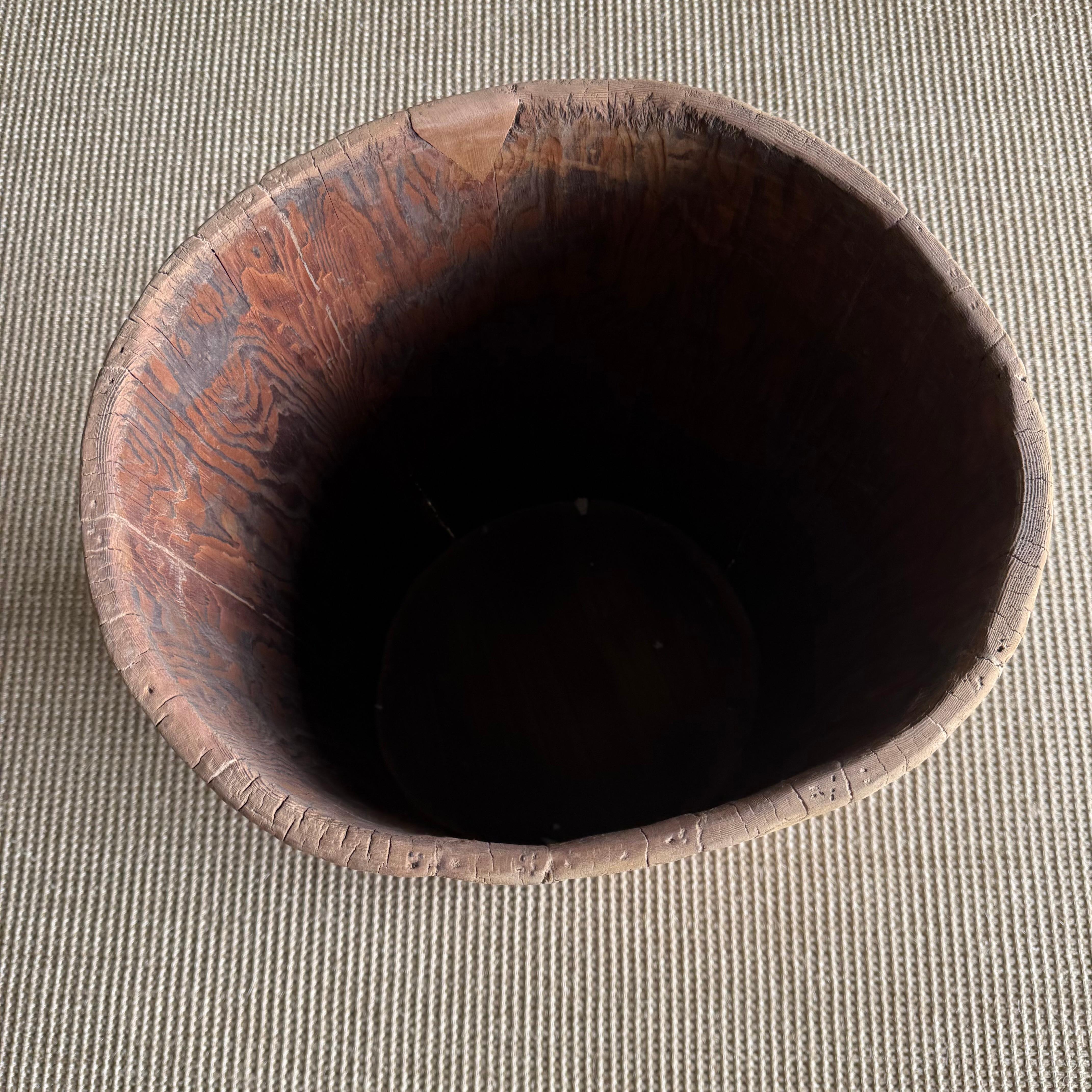 Organico moderno Vaso di un vecchio ceppo di albero scavato in vendita