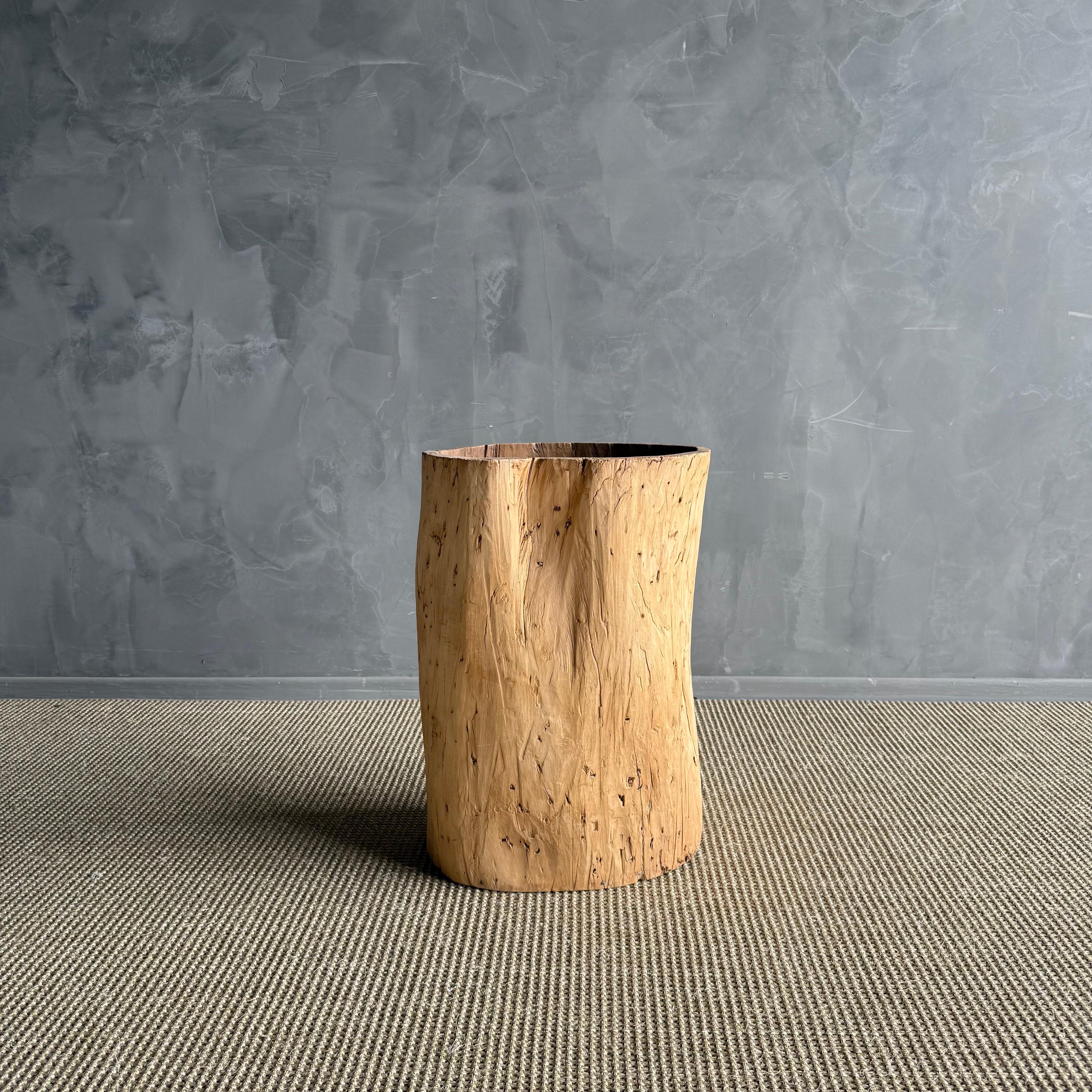 Organico moderno Vaso di un vecchio ceppo di albero scavato in vendita